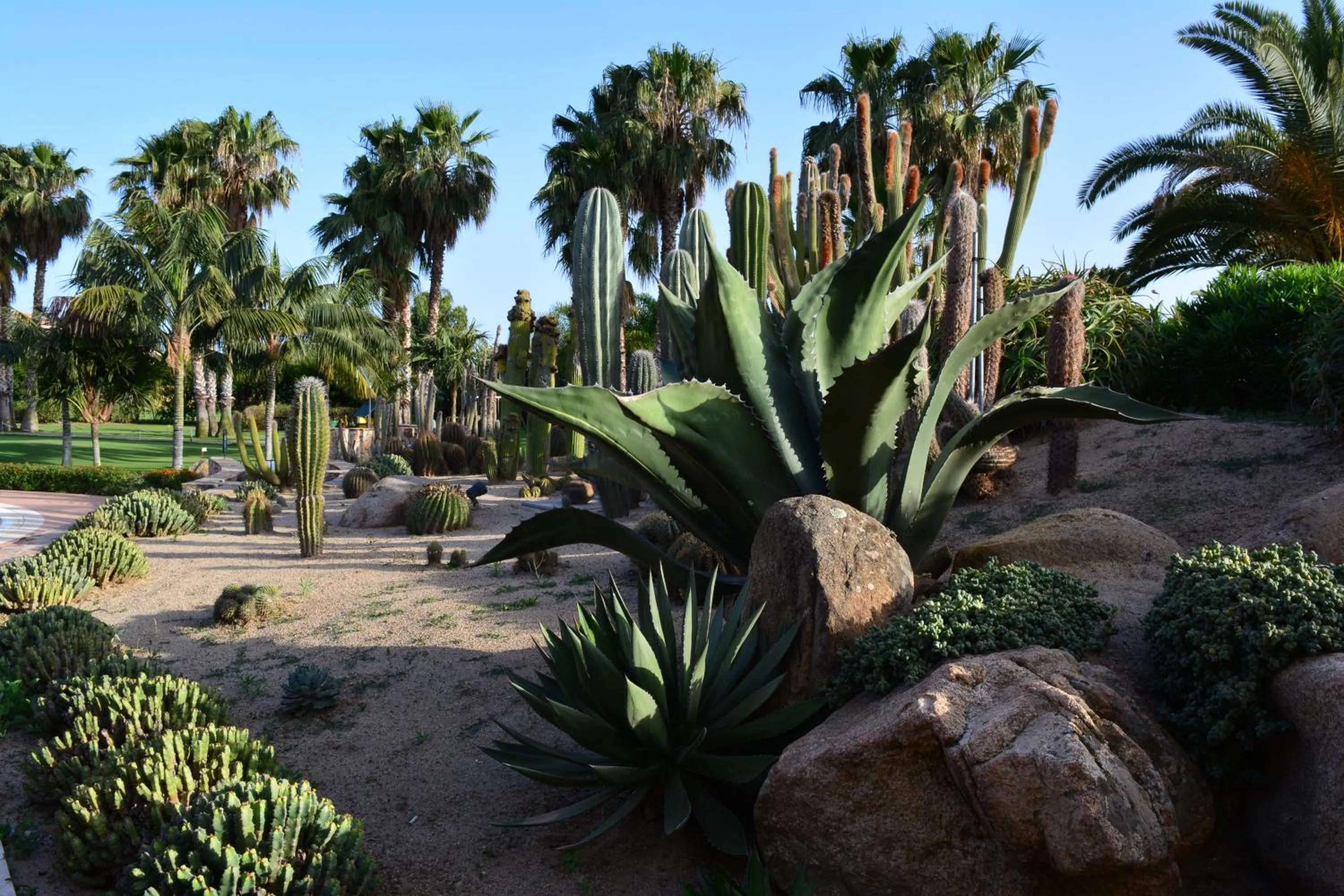 Garden in Lantana Resort Hotel&Apartments