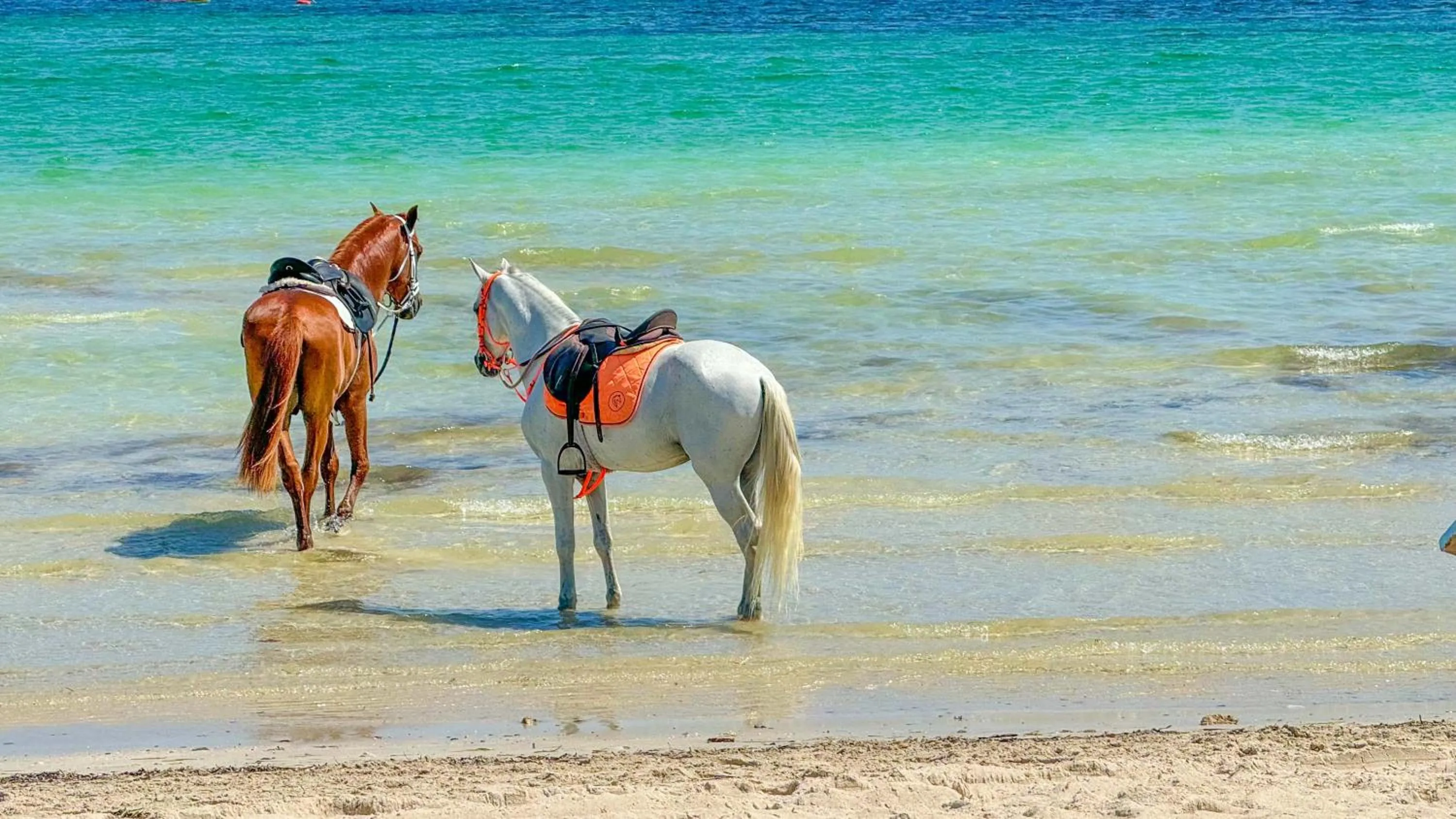 Hotel de charme et SPA Dar El Bhar