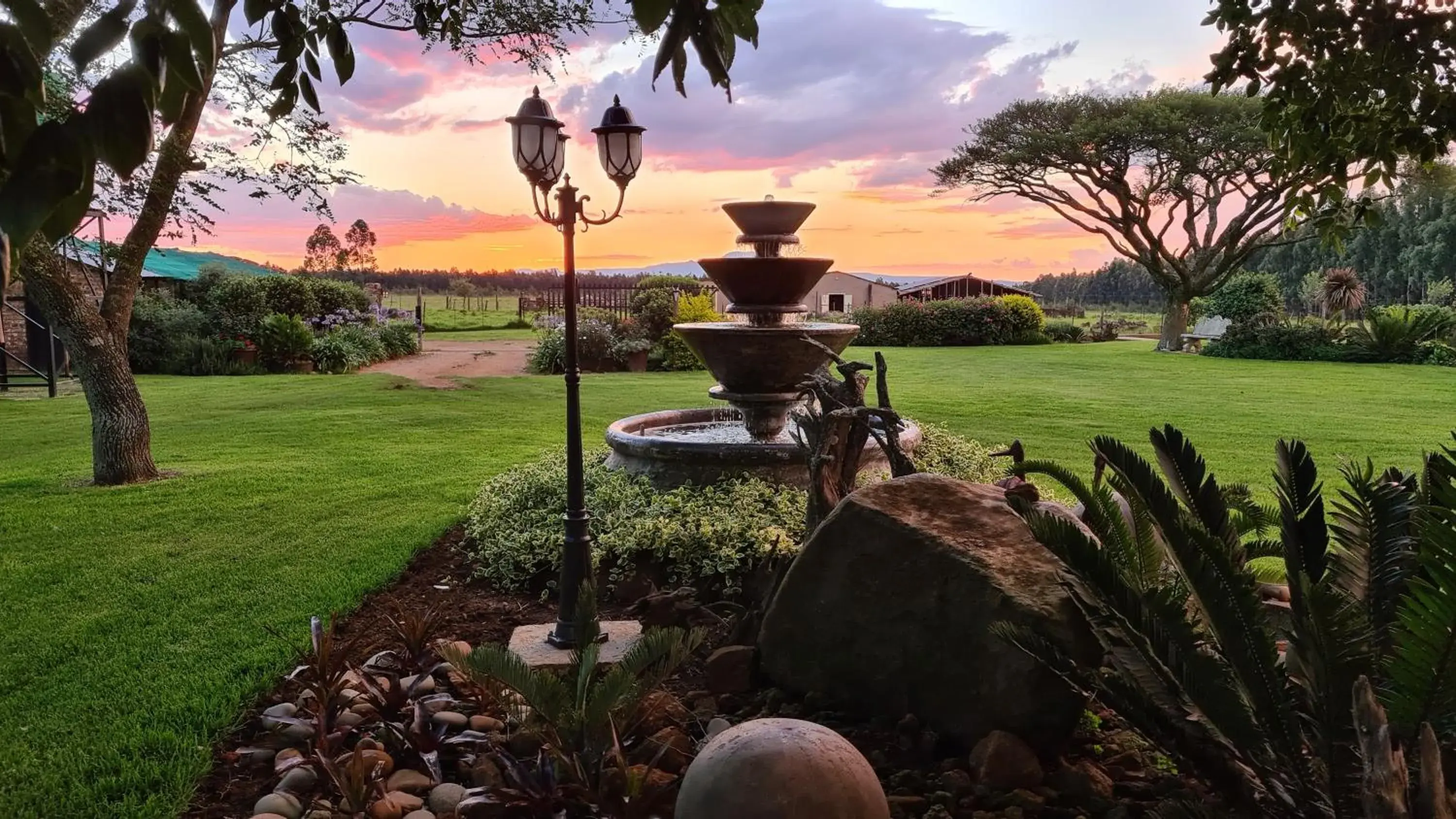 Forest Hill Country Lodge Forest Hill Country Lodge