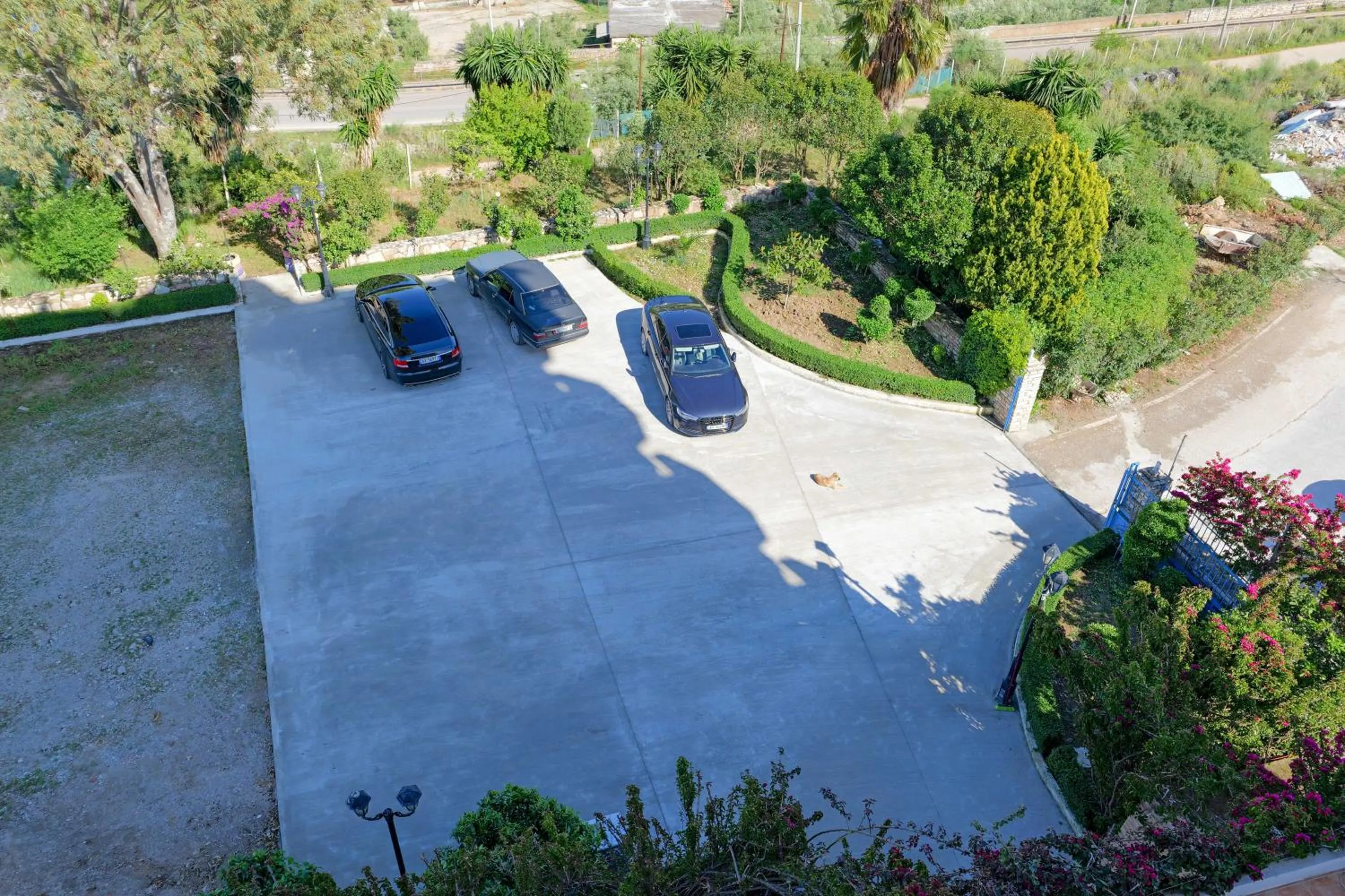Garden view in Hotel Holiday
