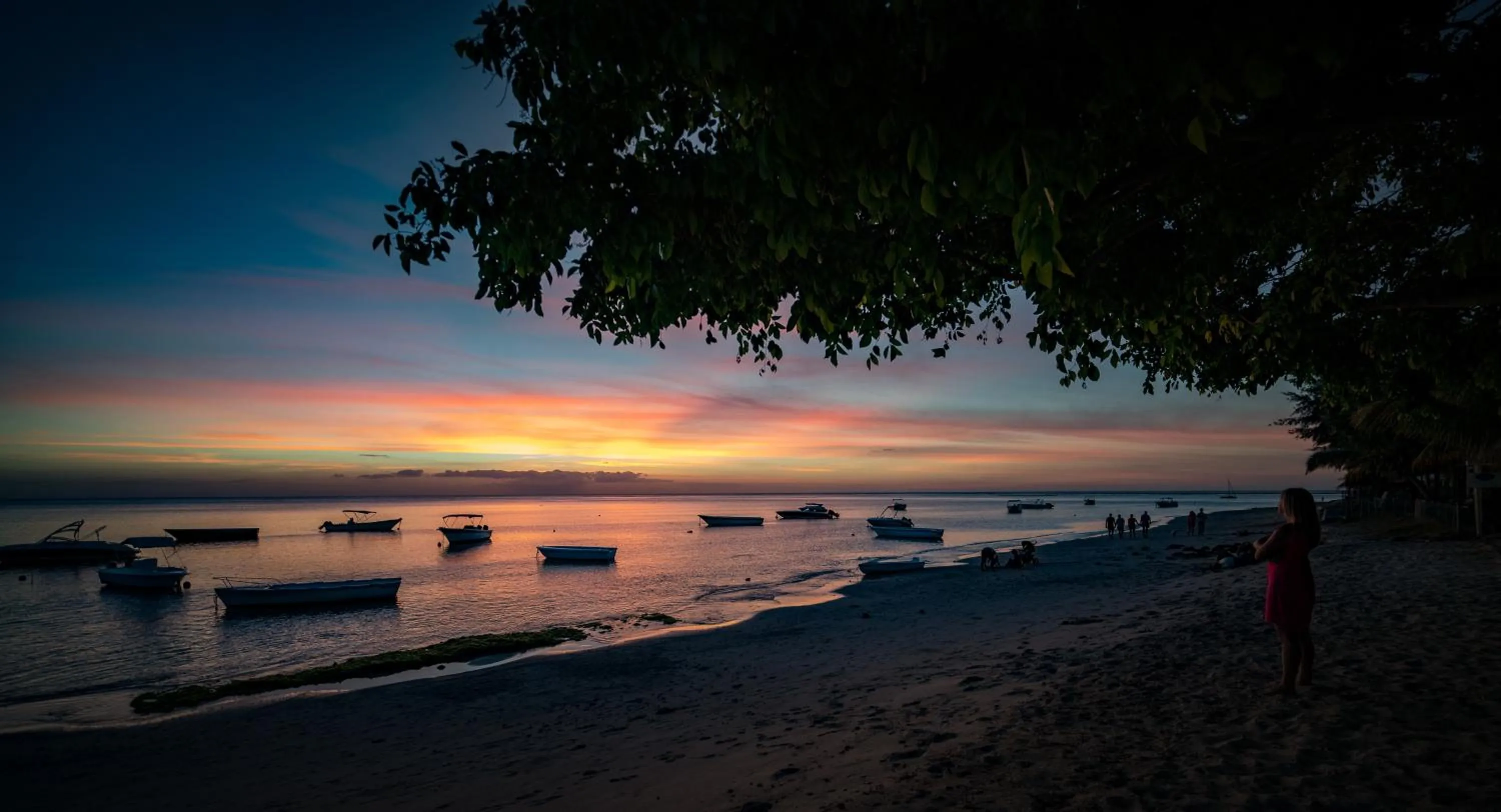 La Mariposa Mauritius