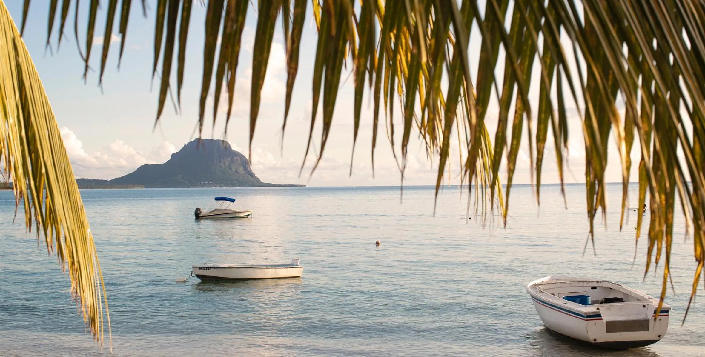 Natural landscape in La Mariposa Mauritius