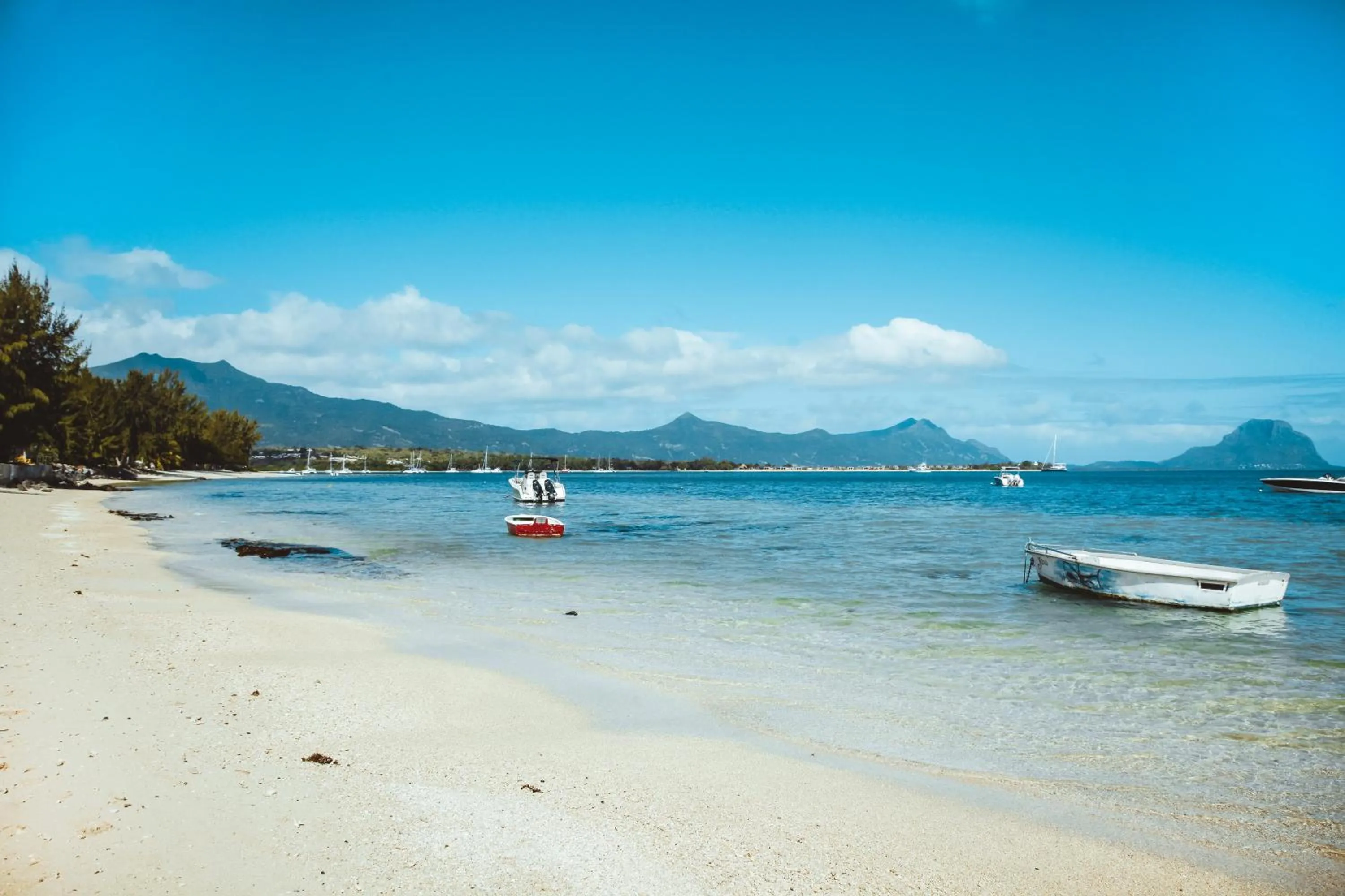 La Mariposa Mauritius