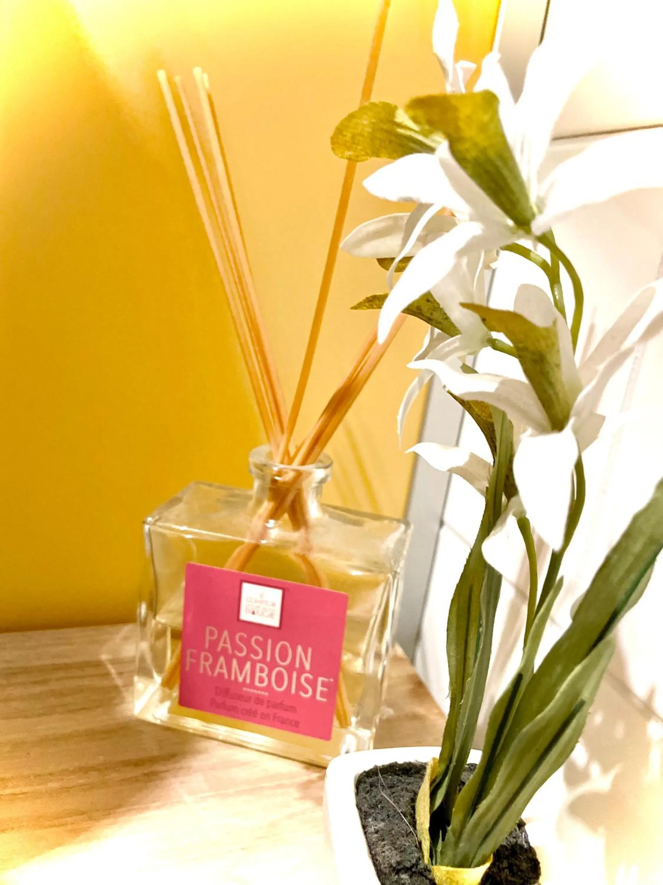 Bathroom in VIVA Hostel