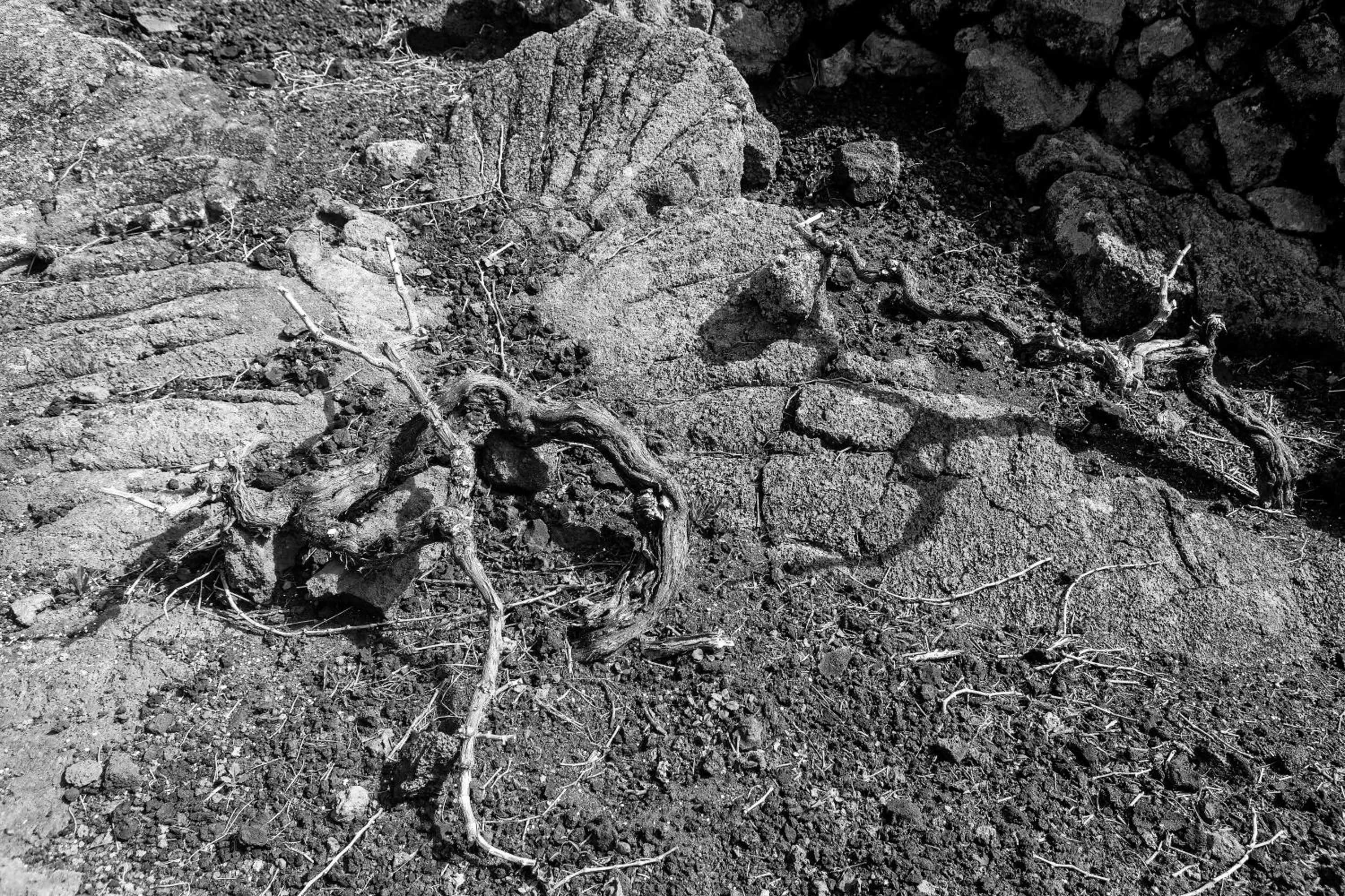 Nearby landmark in Vila Barca