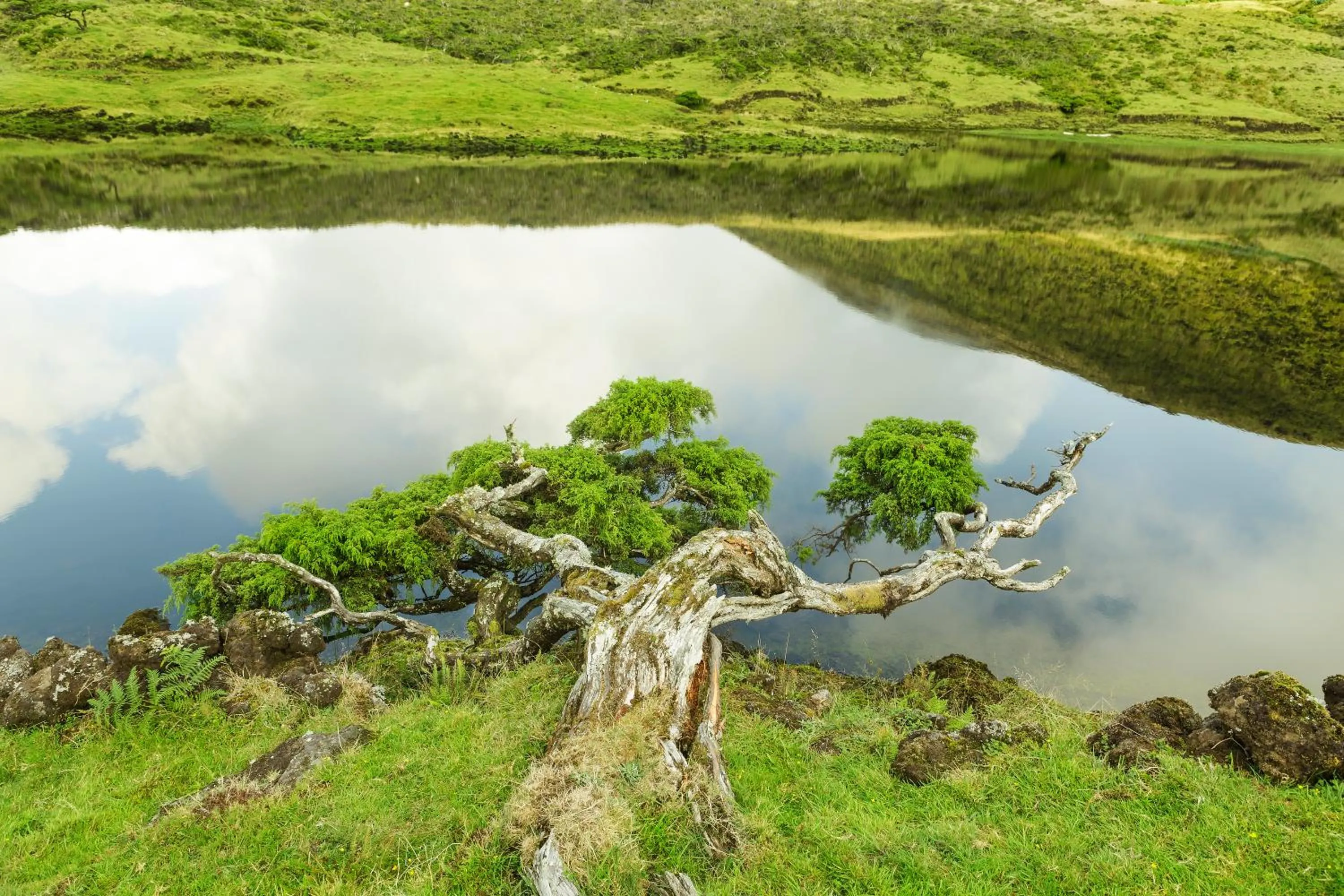 Spring in Vila Barca