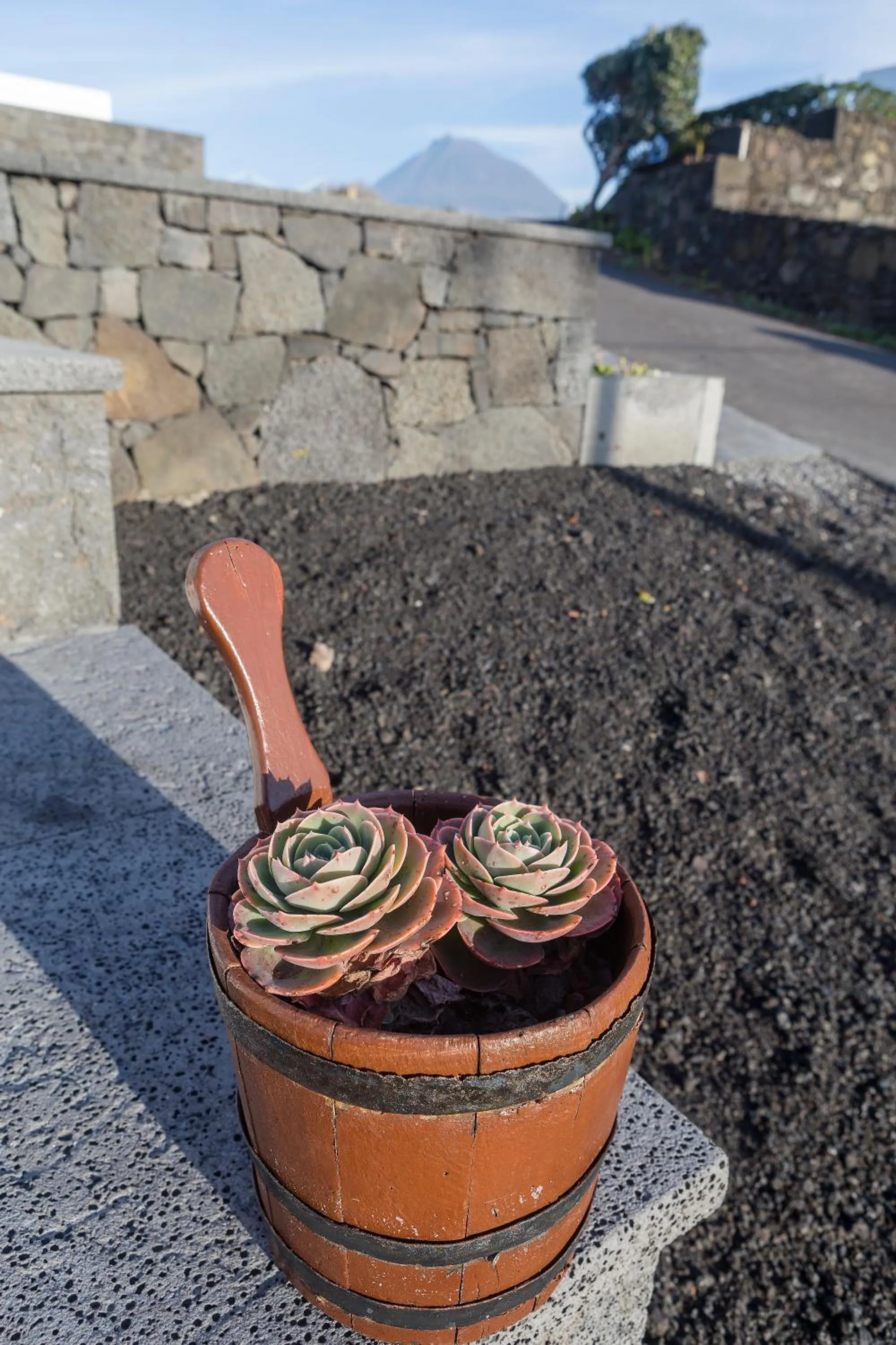 Decorative detail in Vila Barca