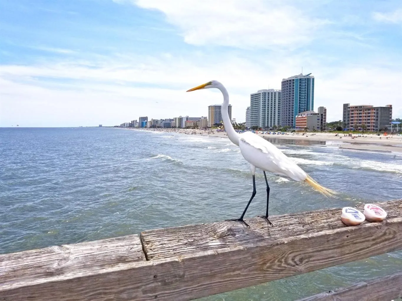 New Ocean Front Corner Unit