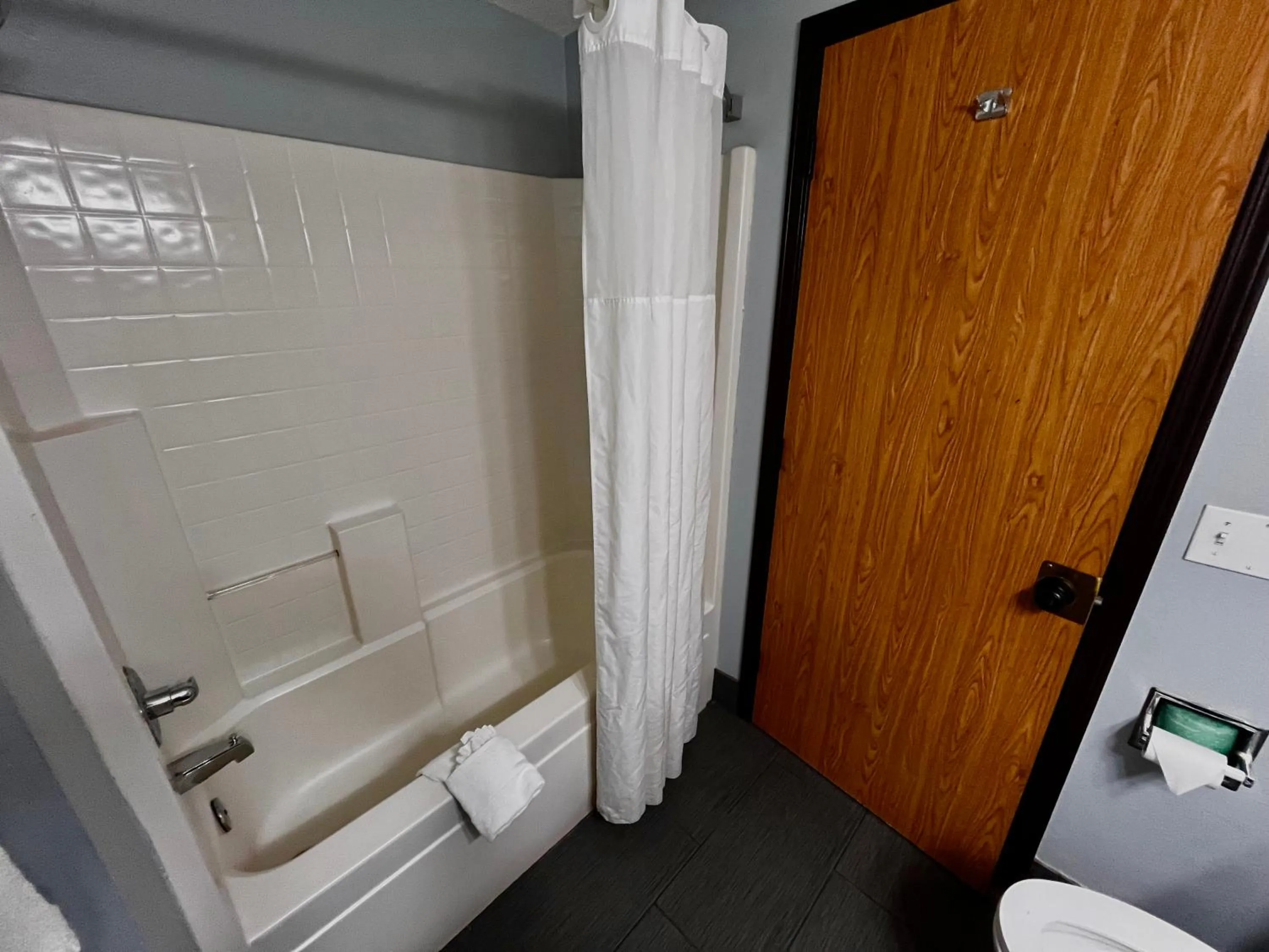 Bath in Quality Inn Grand Rapids Near Downtown