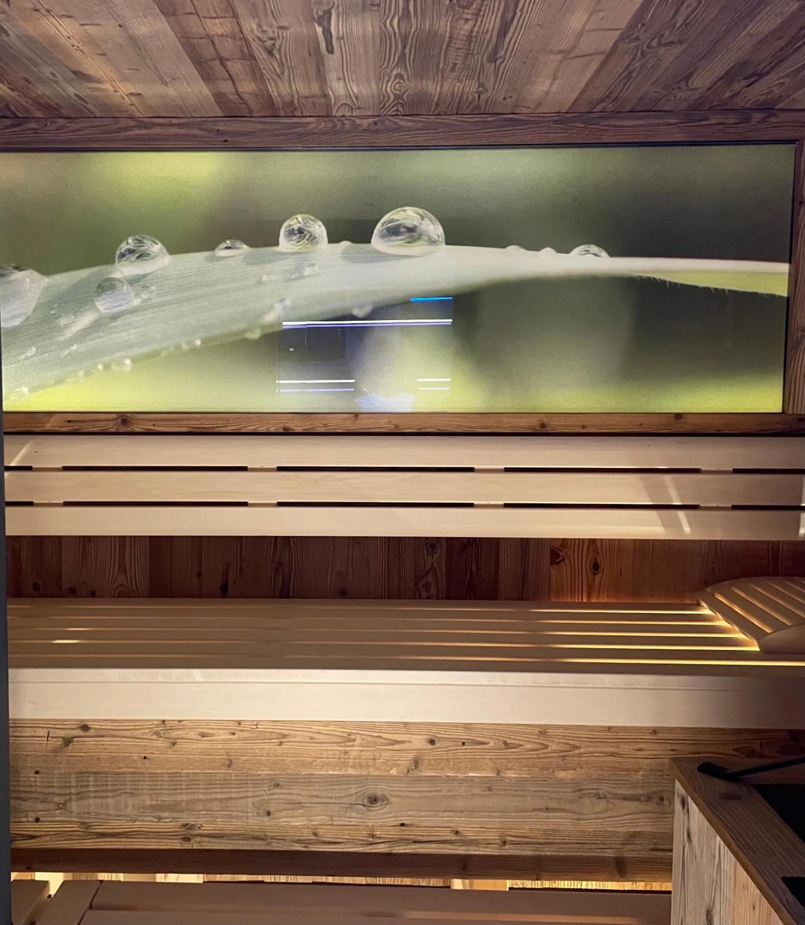 Sauna in Apart Hotel San Antonio