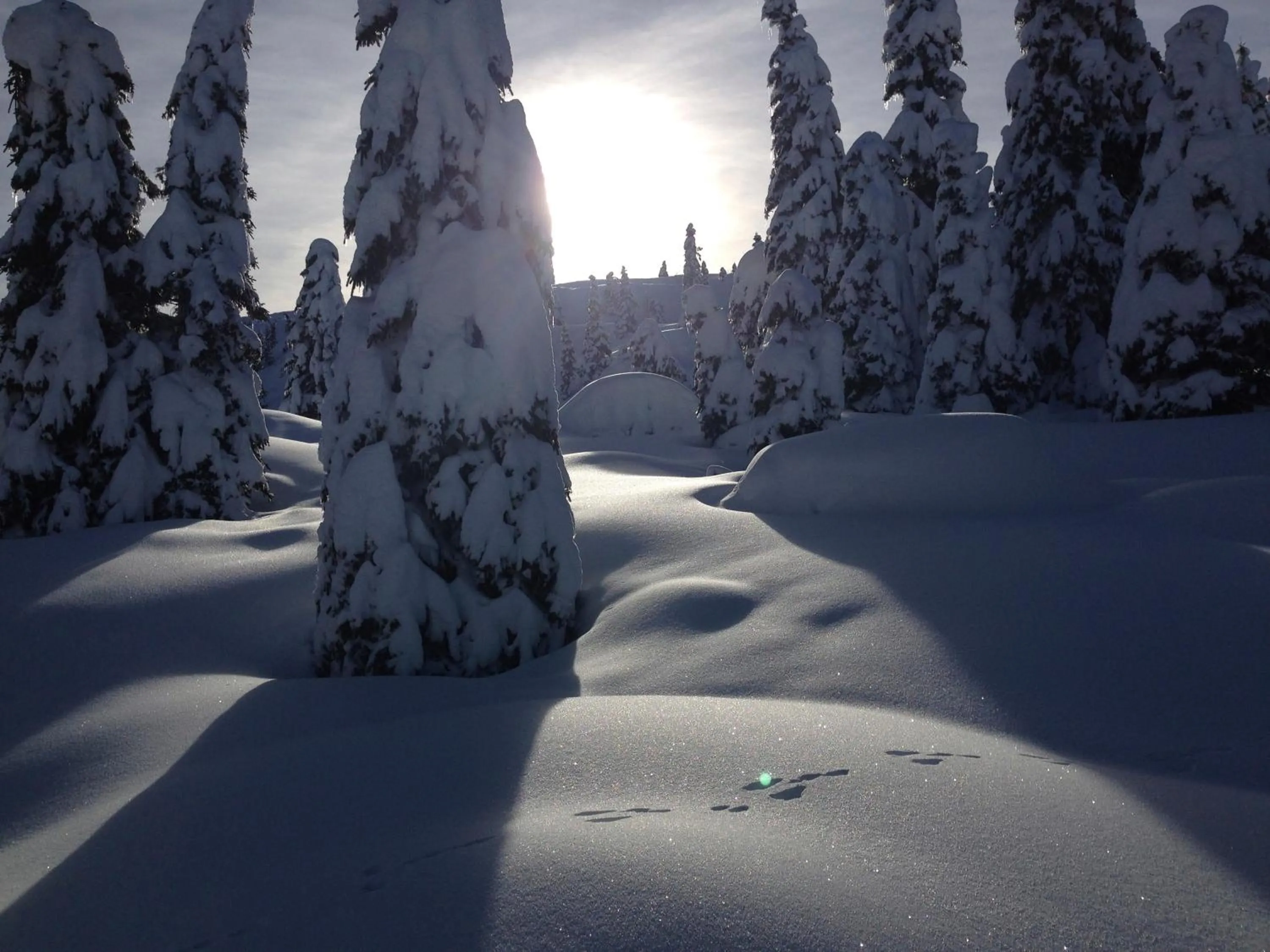 Winter in Alpenresort Belvedere