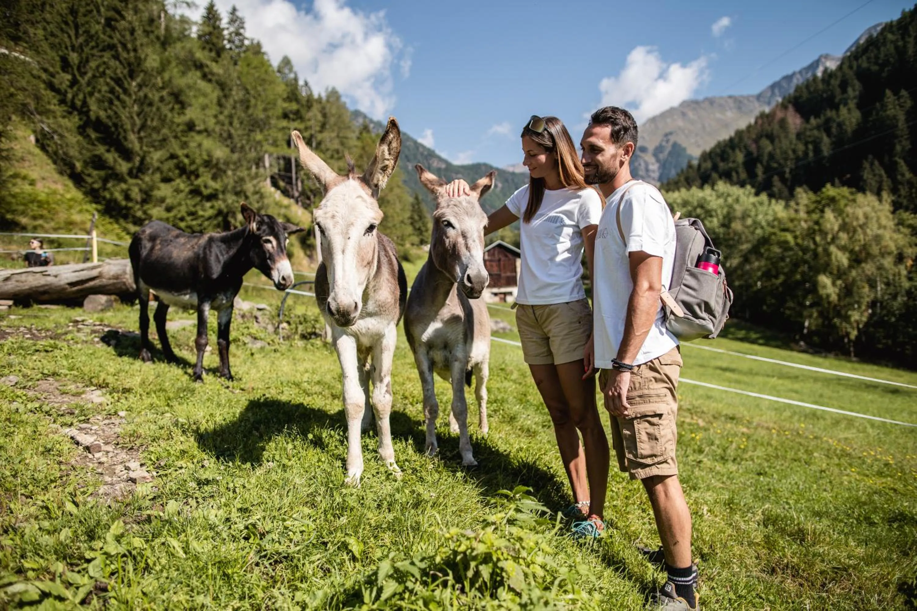 Hiking in Kristiania Pure Nature Hotel & Spa