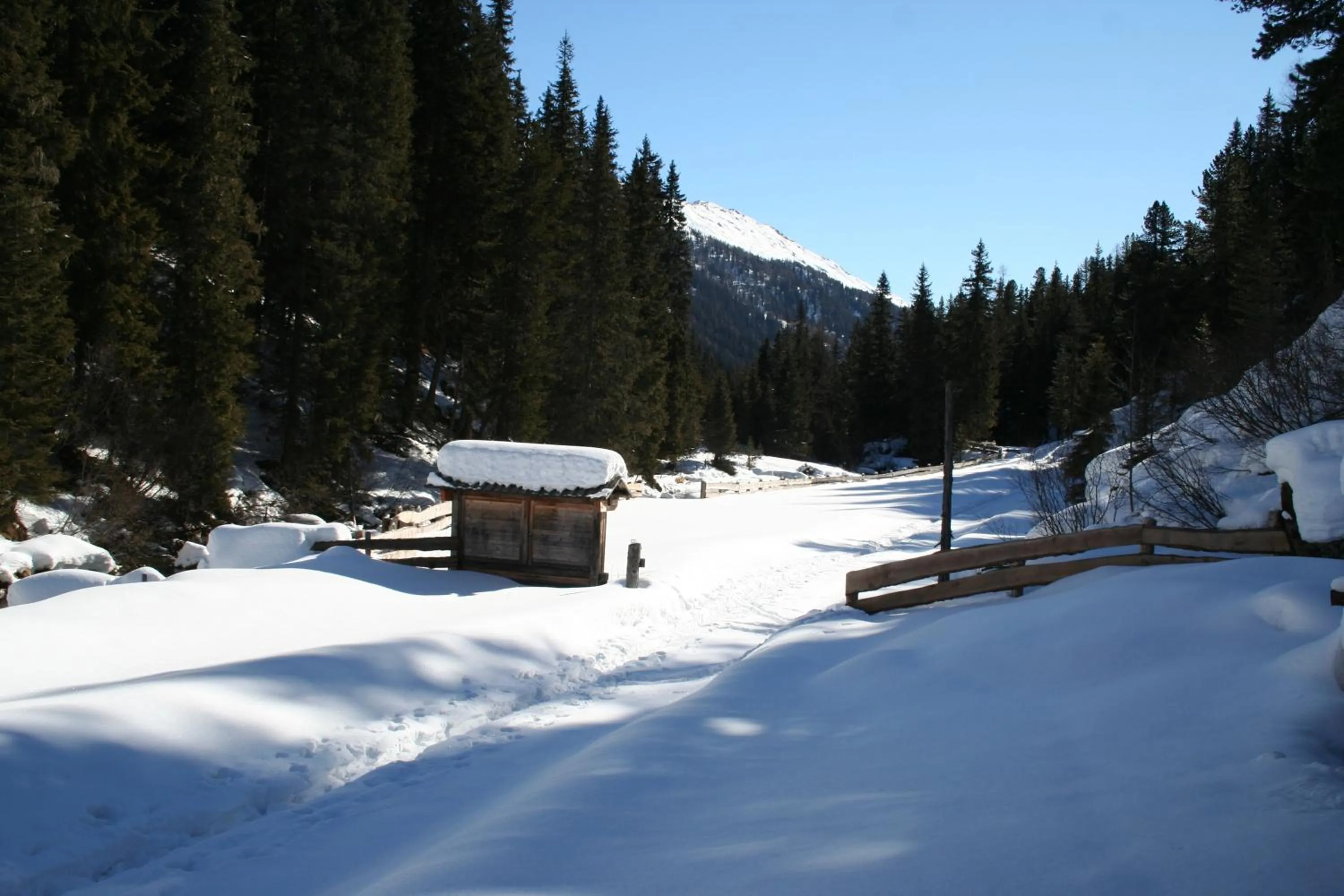 Winter in Hotel Laserz