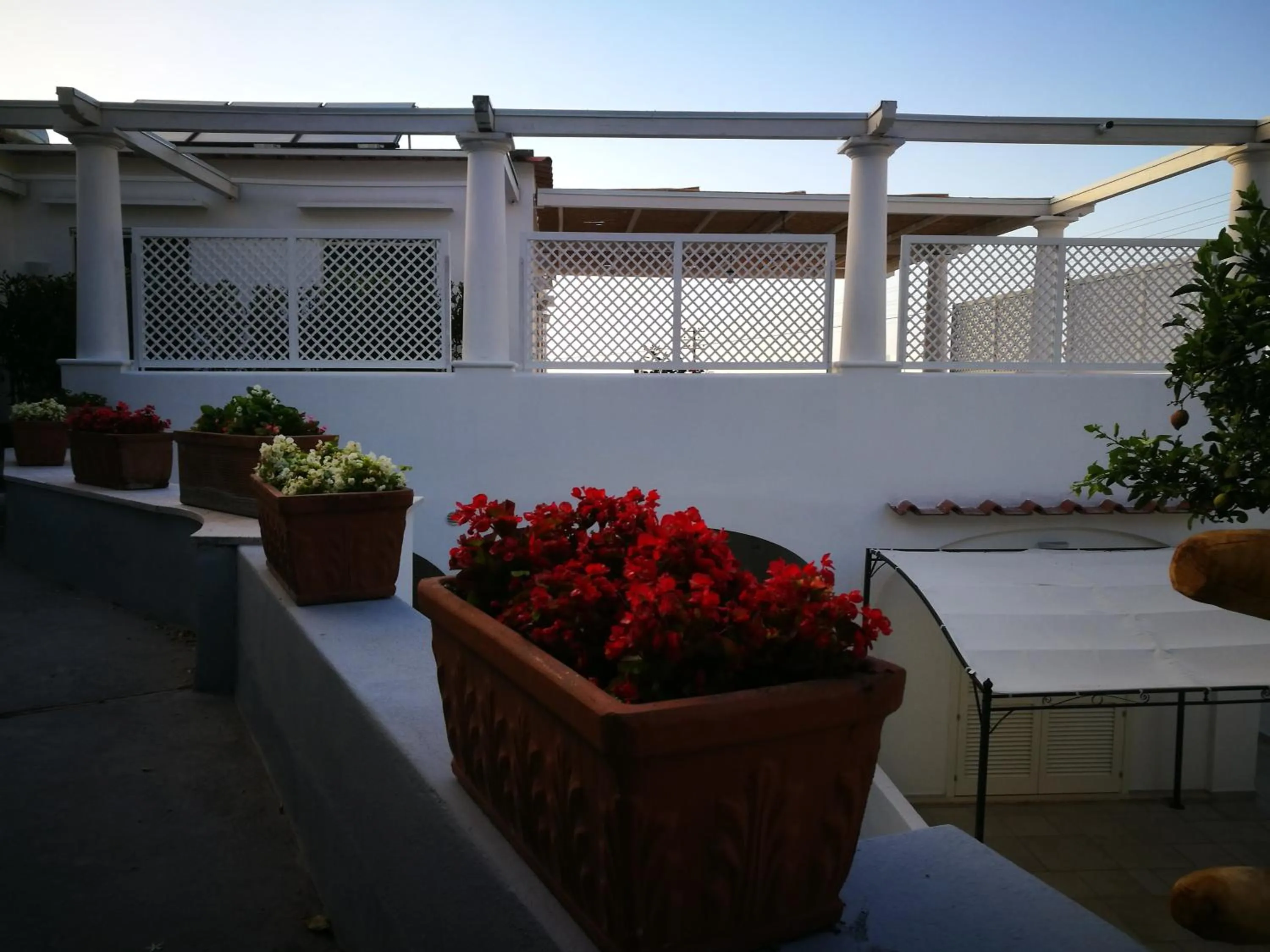 Property building in Villa Patrizi