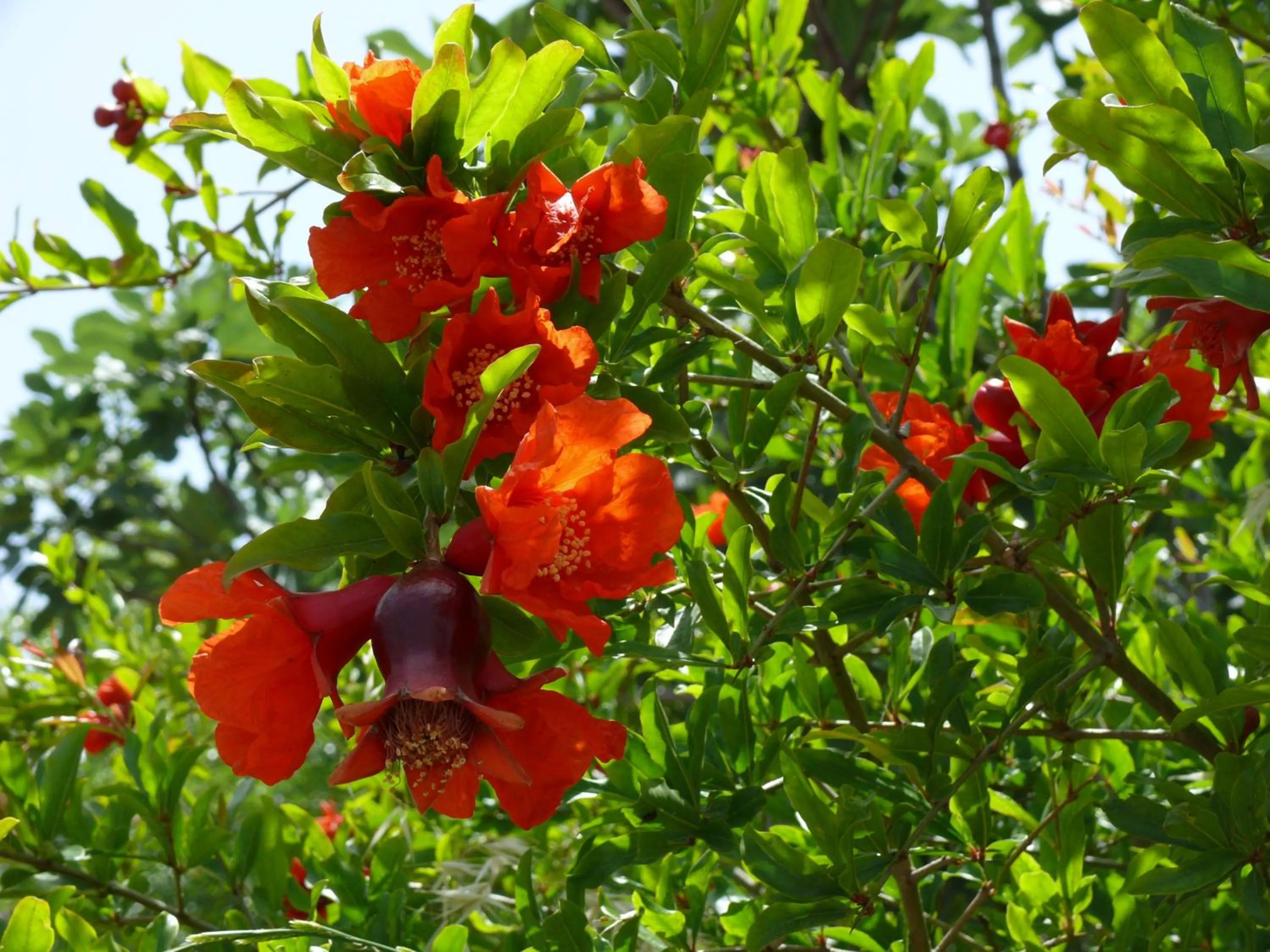 Spring in Minta Apartments