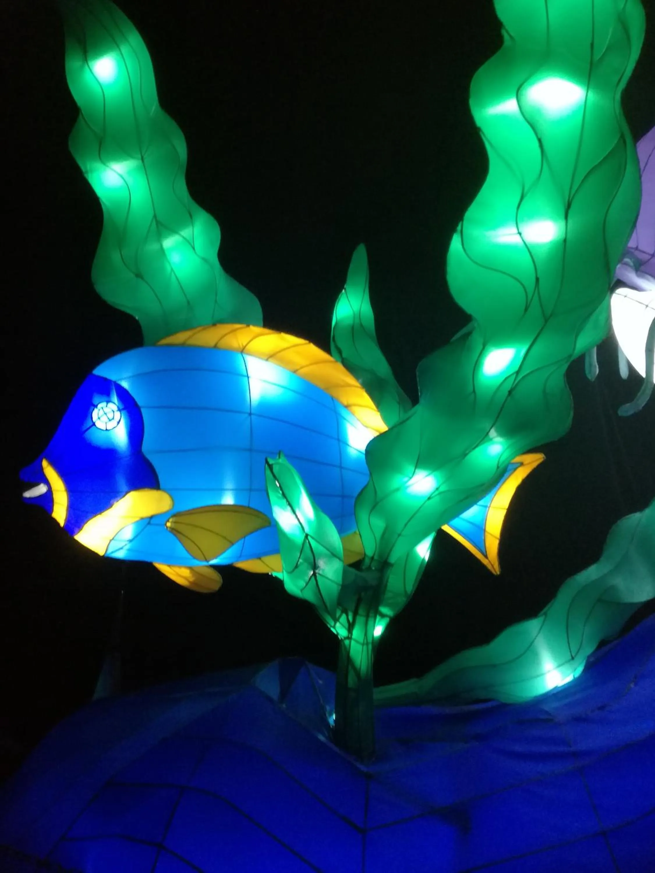 Area and facilities in The Osprey Hotel