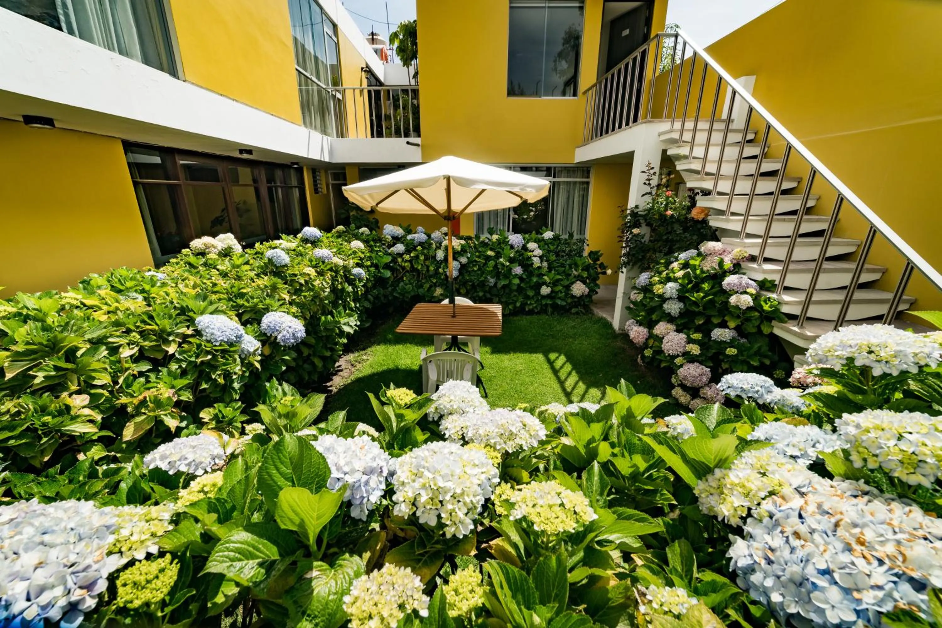 Garden in Hotel La Gruta