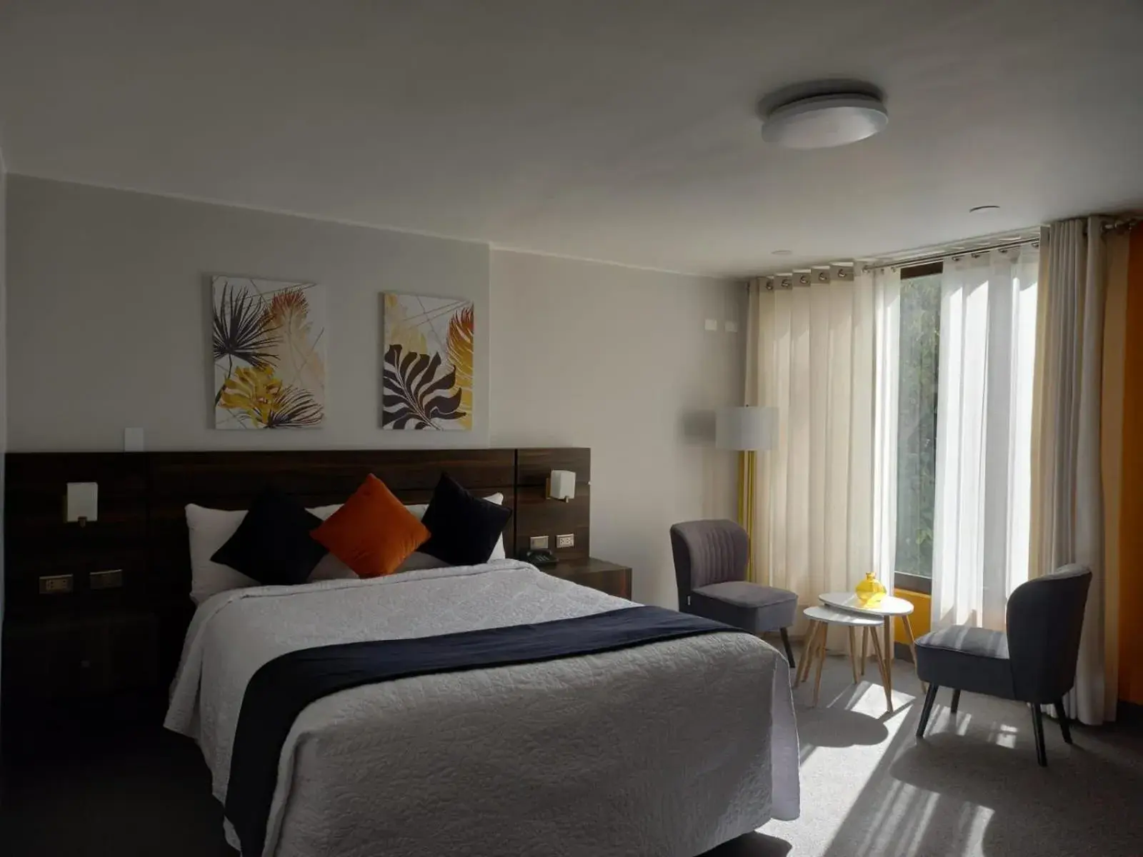 Standard Double Room - single occupancy in Hotel La Gruta Standard Double Room - single occupancy in Hotel La Gruta