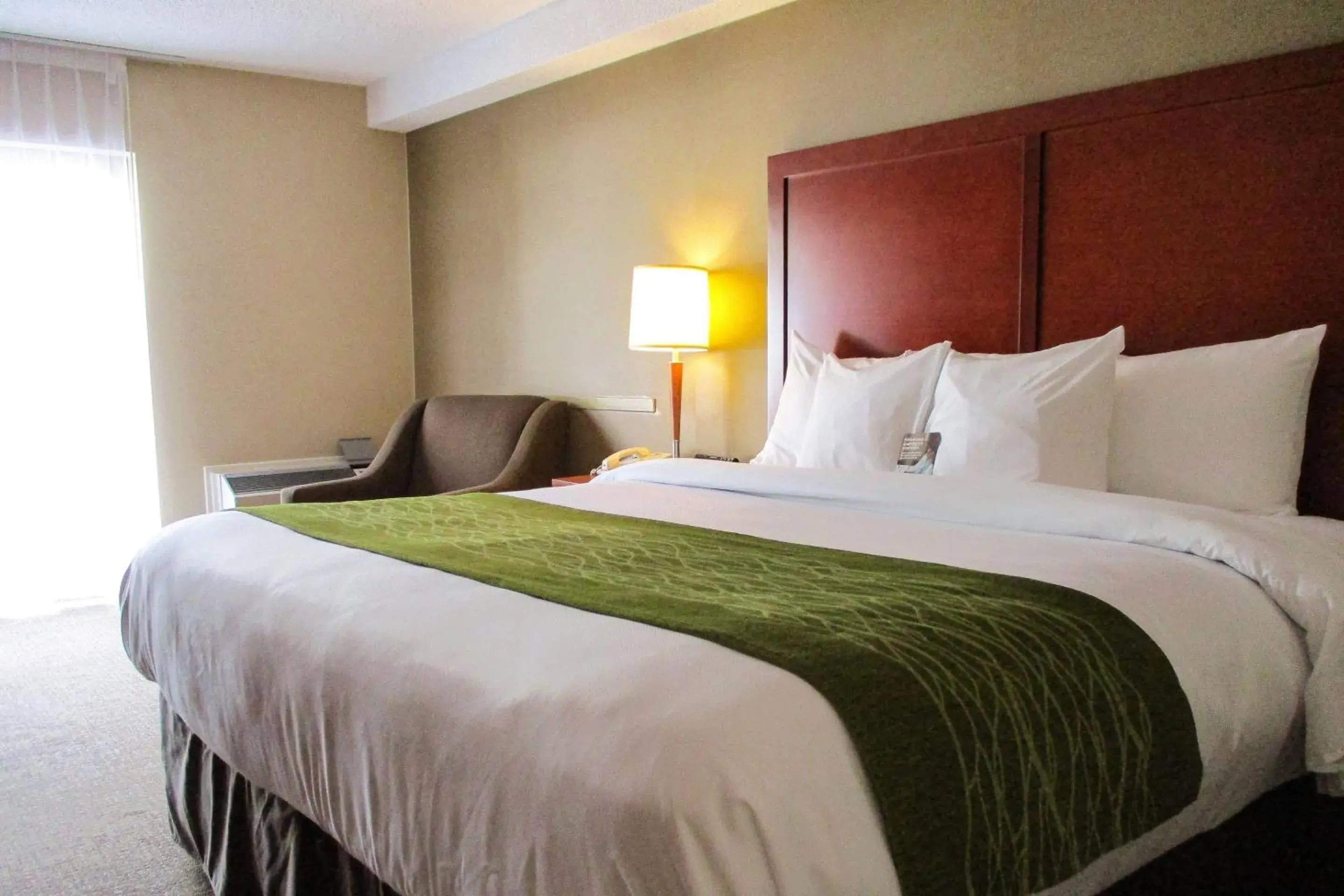 Bedroom, Bed in Comfort Inn Dartmouth Bedroom, Bed in Comfort Inn Dartmouth