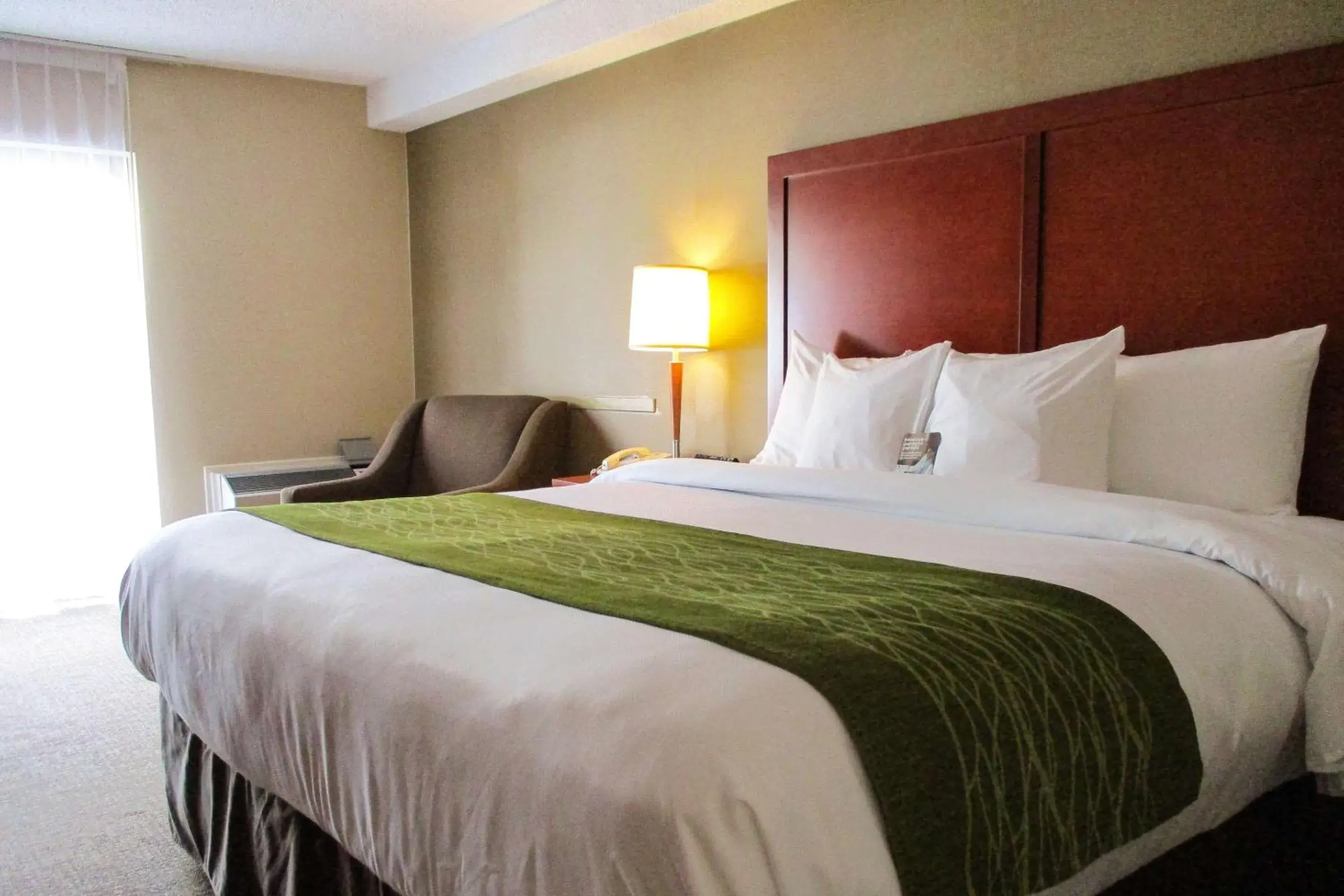 Bedroom, Bed in Comfort Inn Dartmouth Bedroom, Bed in Comfort Inn Dartmouth