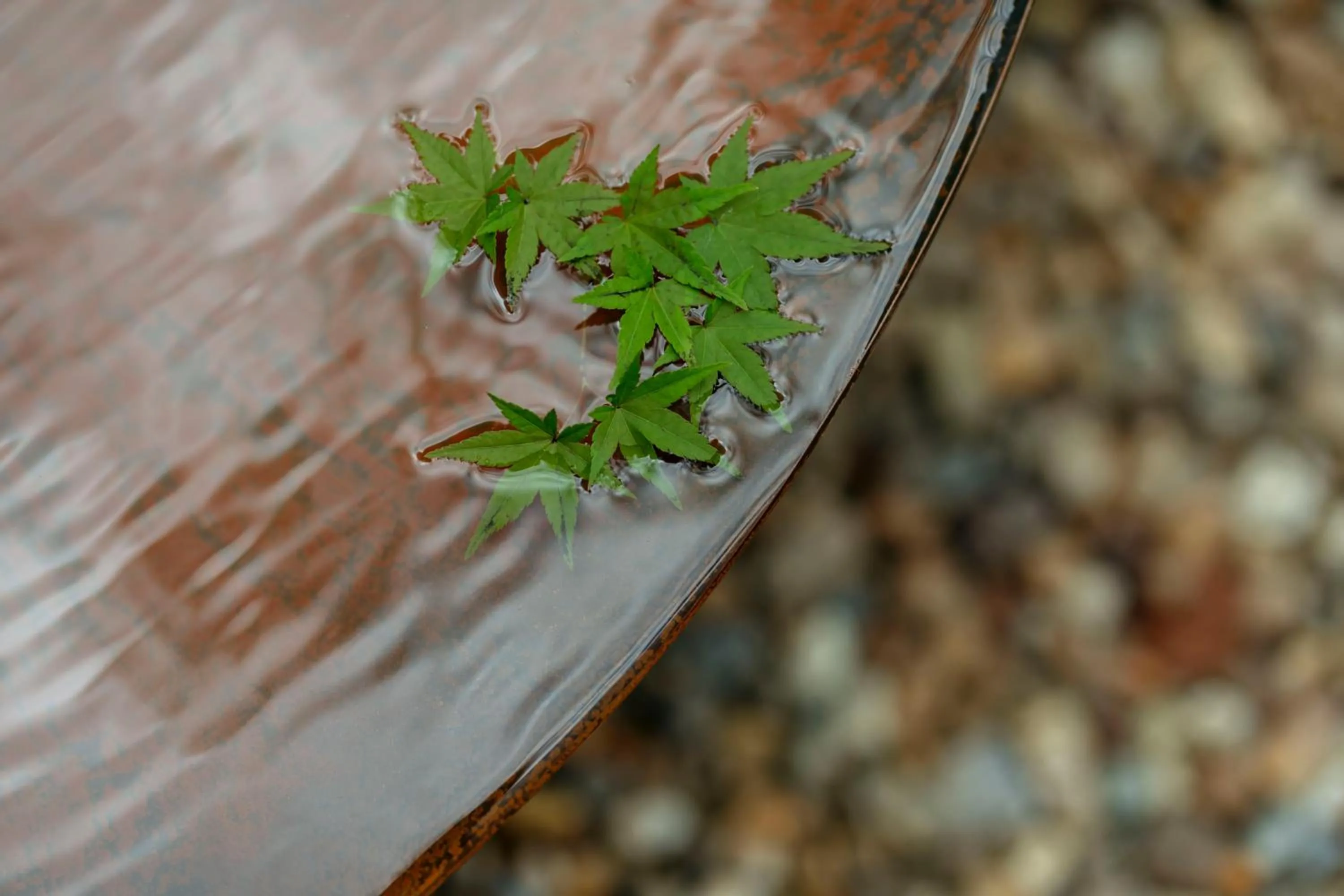 Property building in Shin-Osaka Station Hotel
