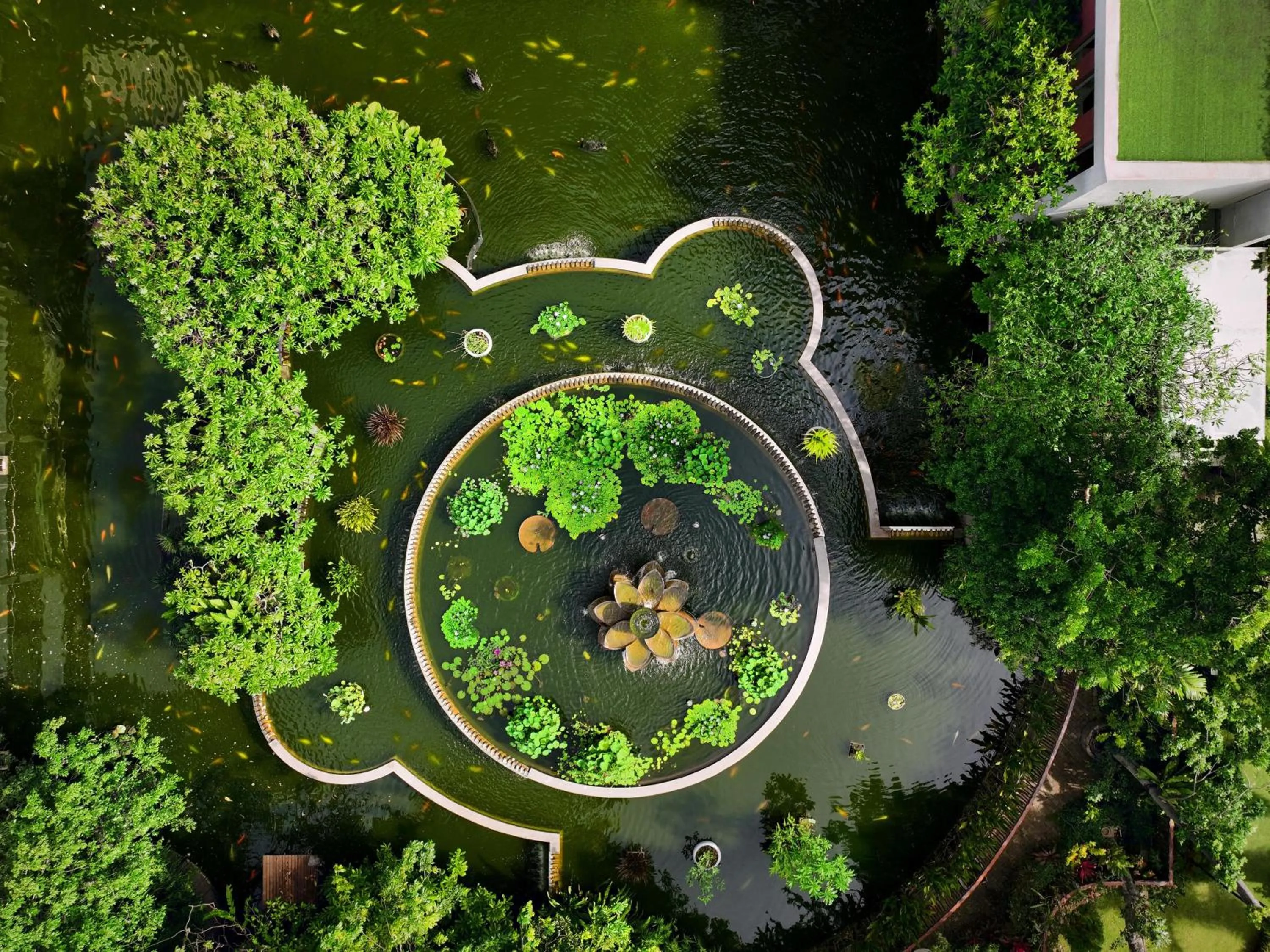 Garden in Hilton Colombo Hotel