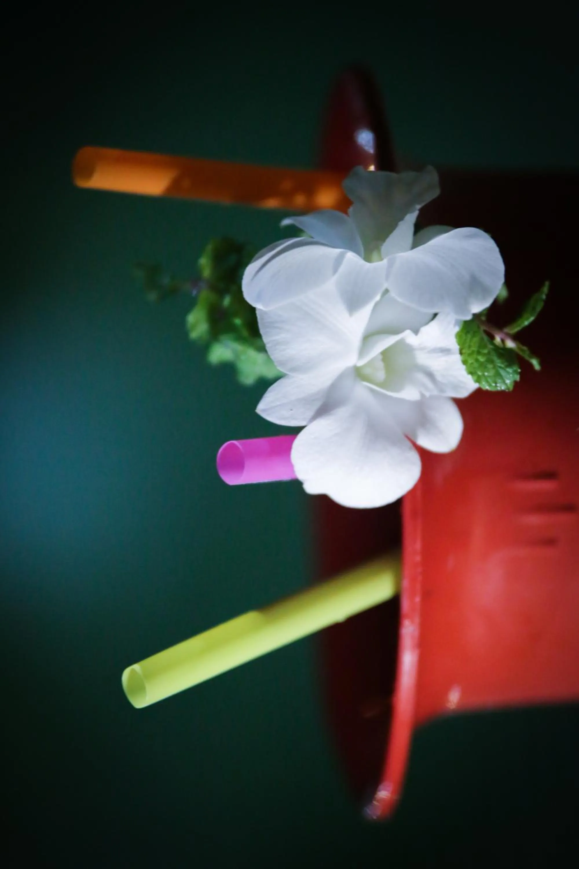 Alcoholic drinks in Blue Diamond Hostel