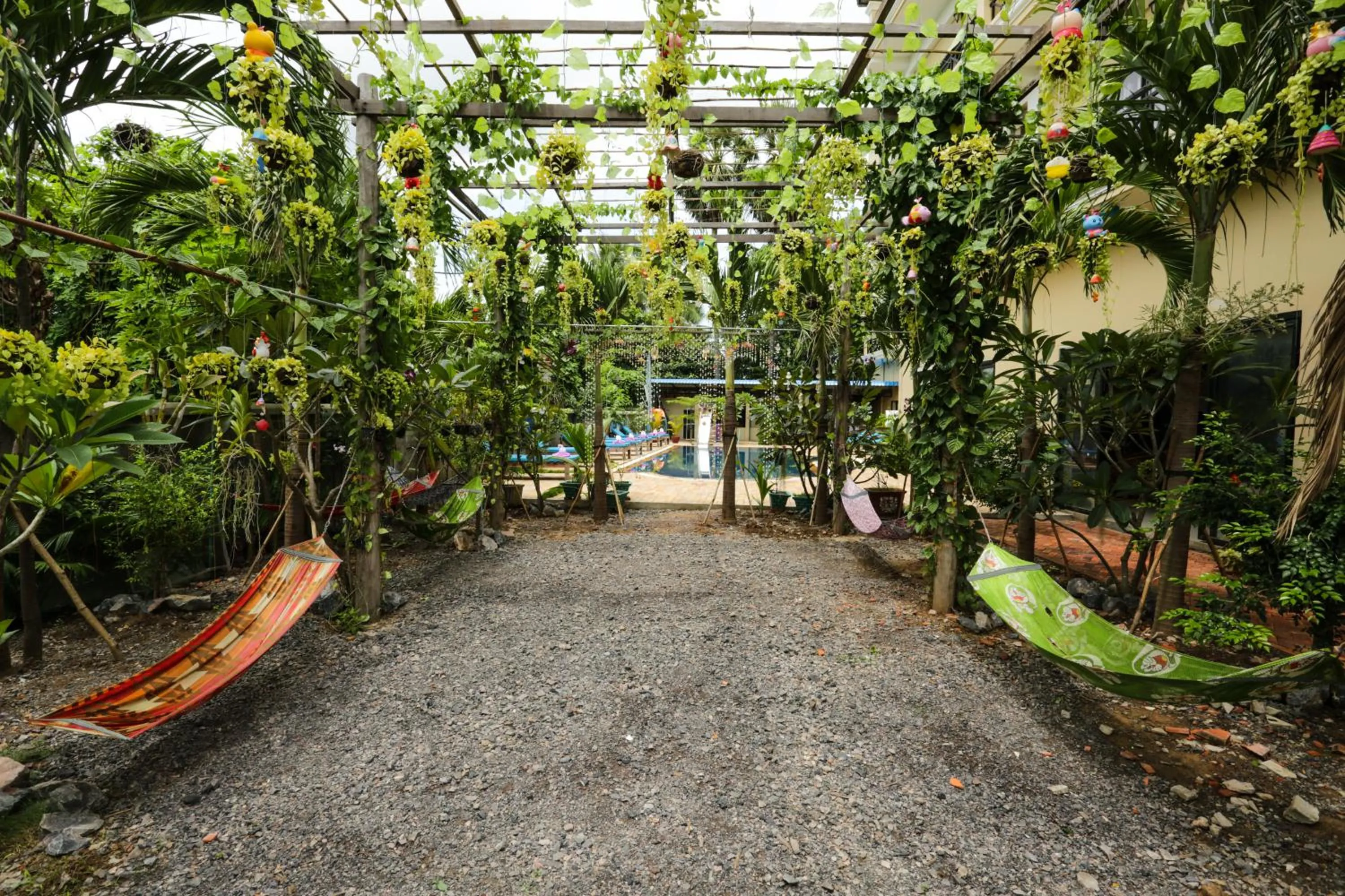 Garden in Blue Diamond Hostel
