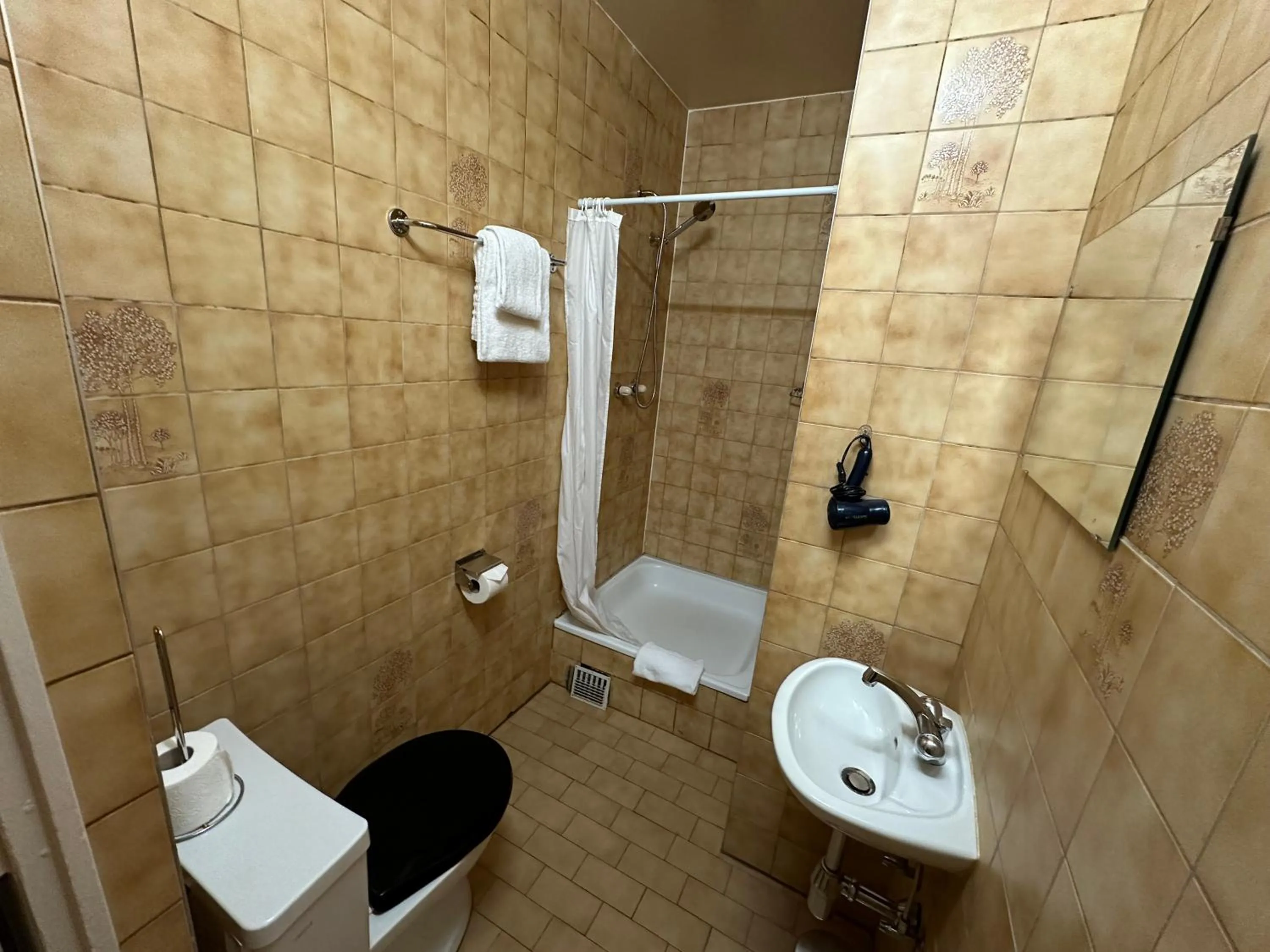 Shower in Hotel des Tourelles