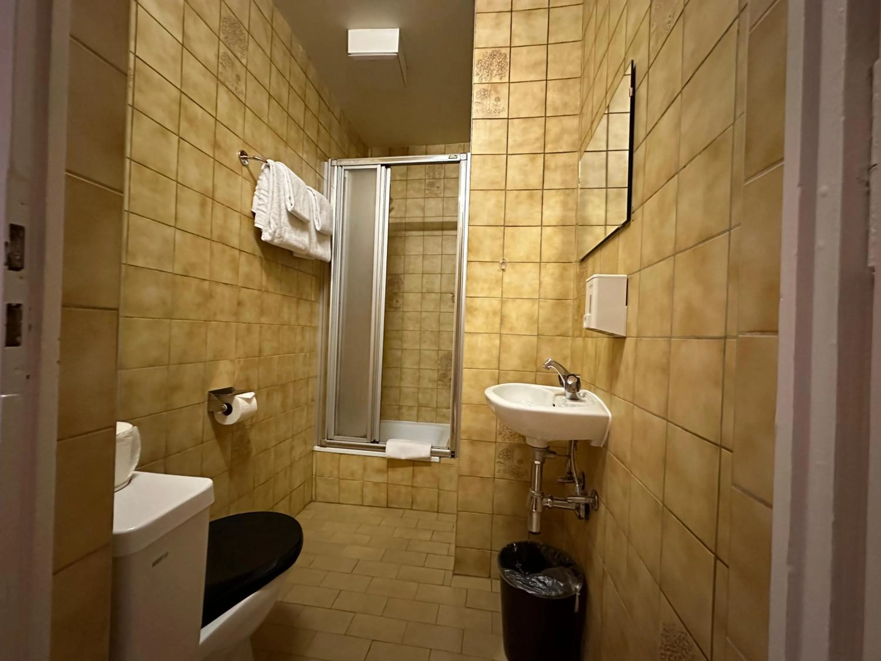 Shower in Hotel des Tourelles