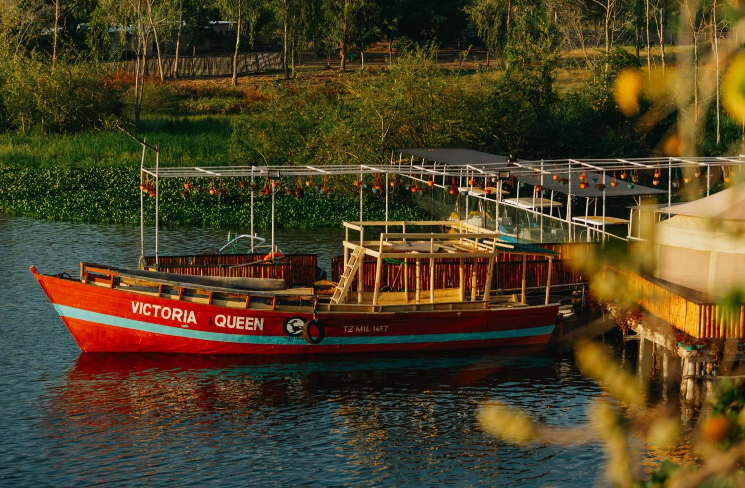 Activities in Wag Hill Lodge & Spa