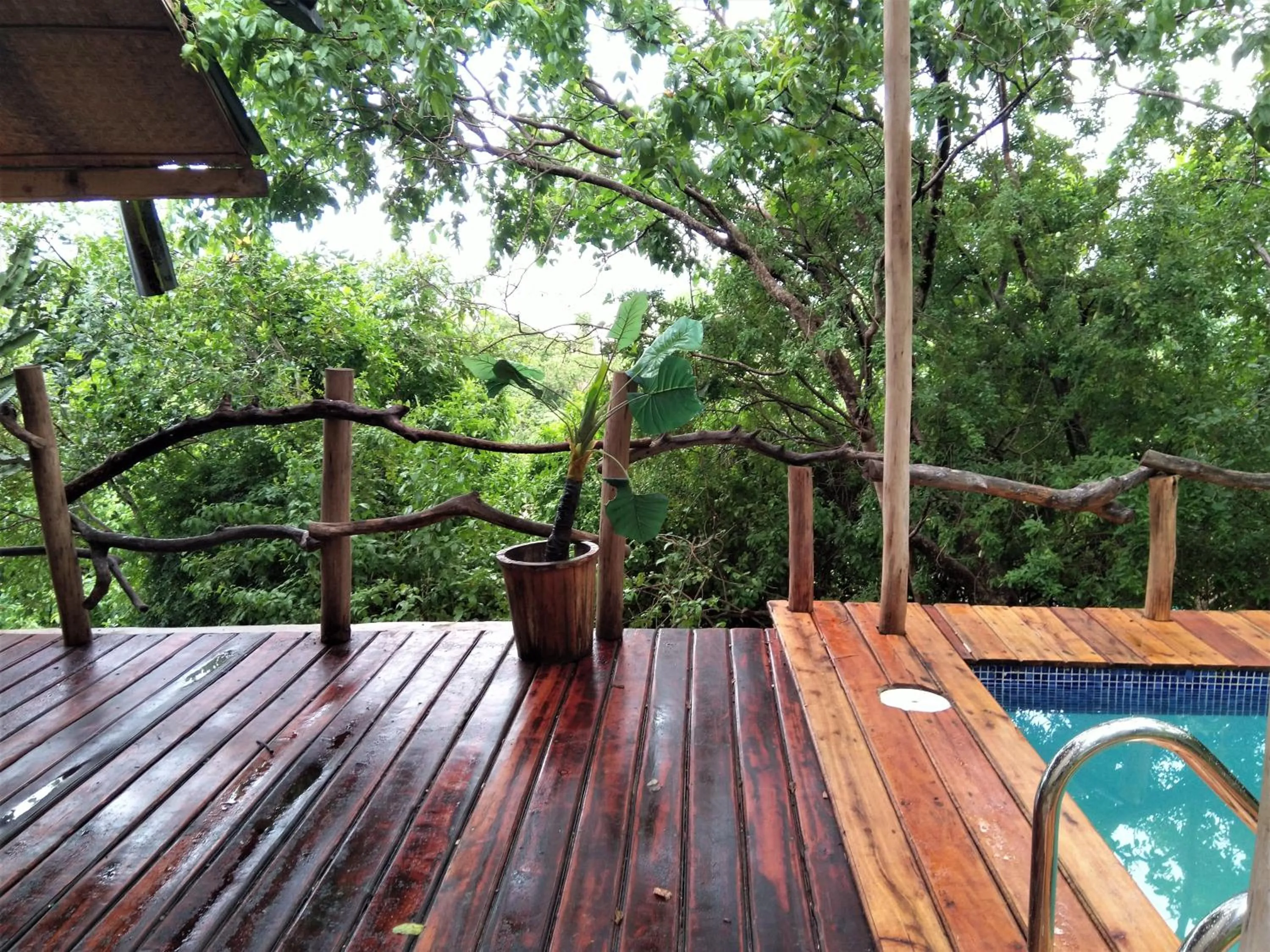 Balcony/Terrace in Wag Hill Lodge & Spa