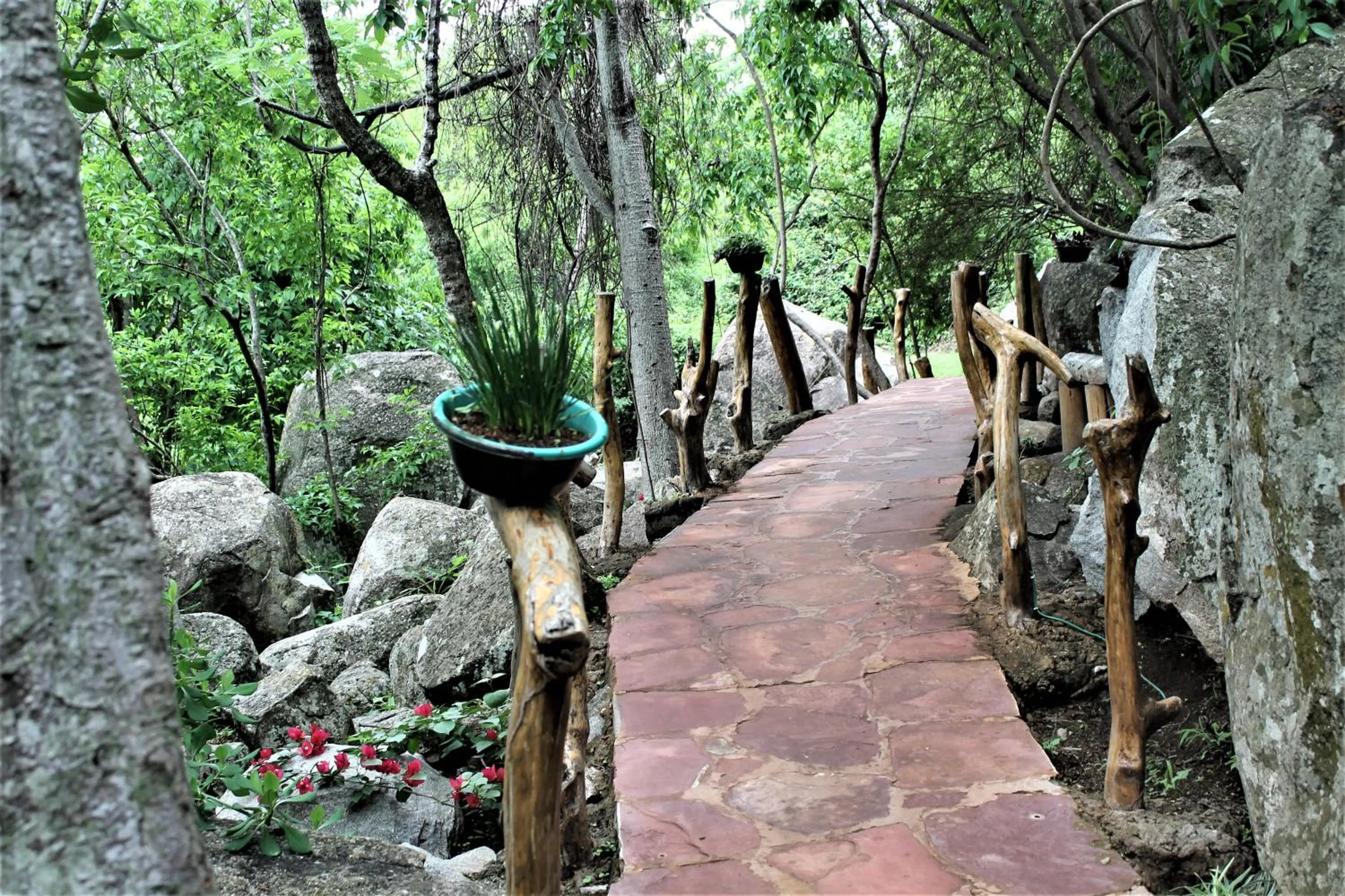 Natural landscape in Wag Hill Lodge & Spa