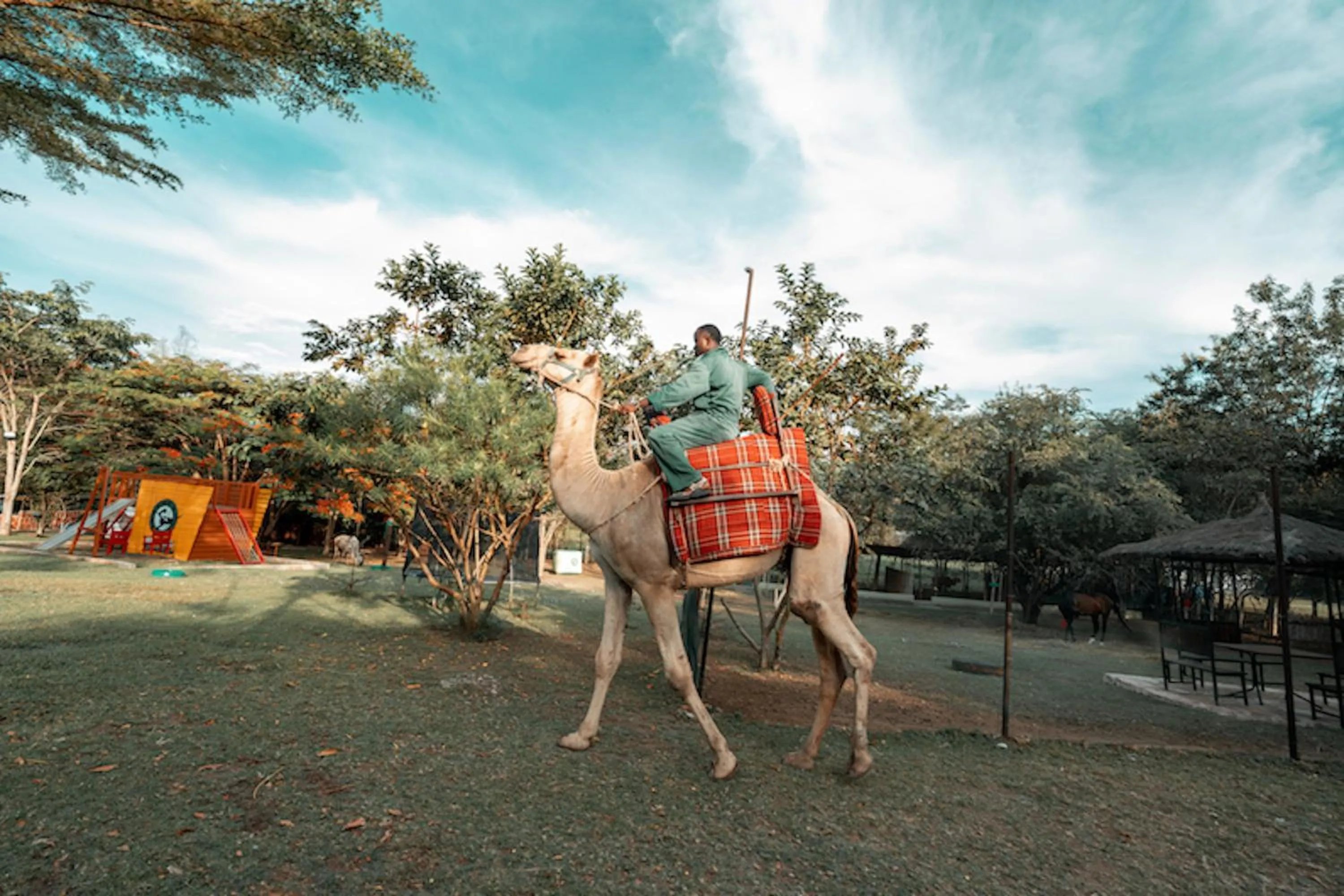 Activities in Wag Hill Lodge & Spa