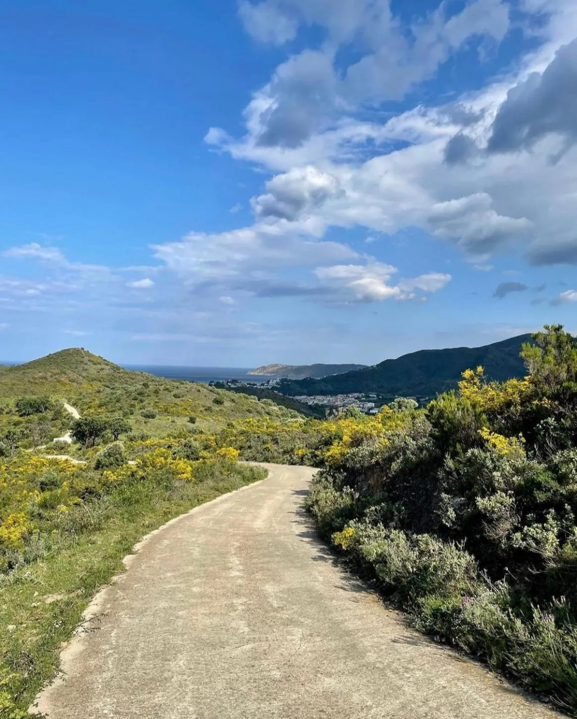 Natural landscape in Hotel Gri-Mar