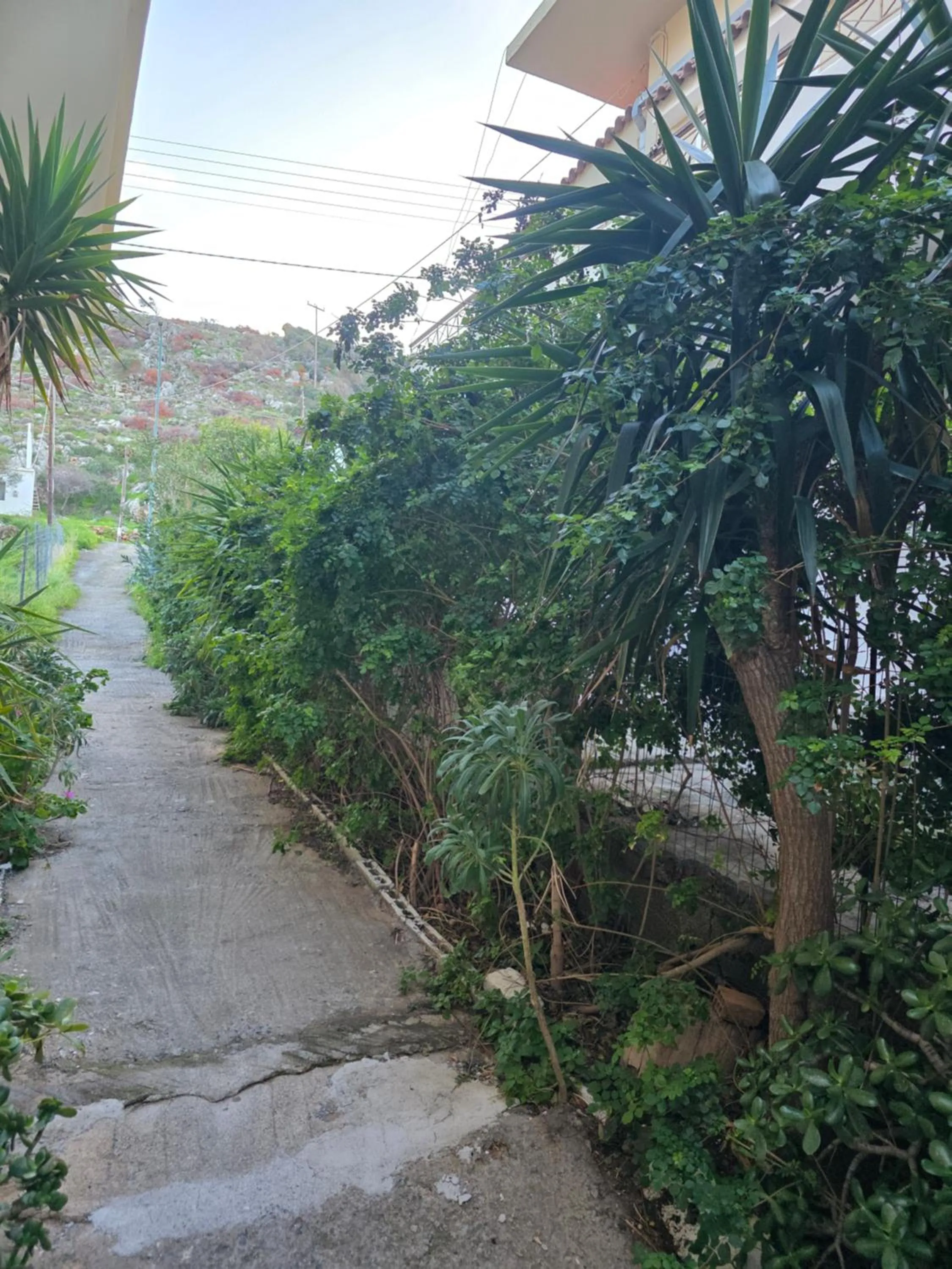 Mary's Place Stalis