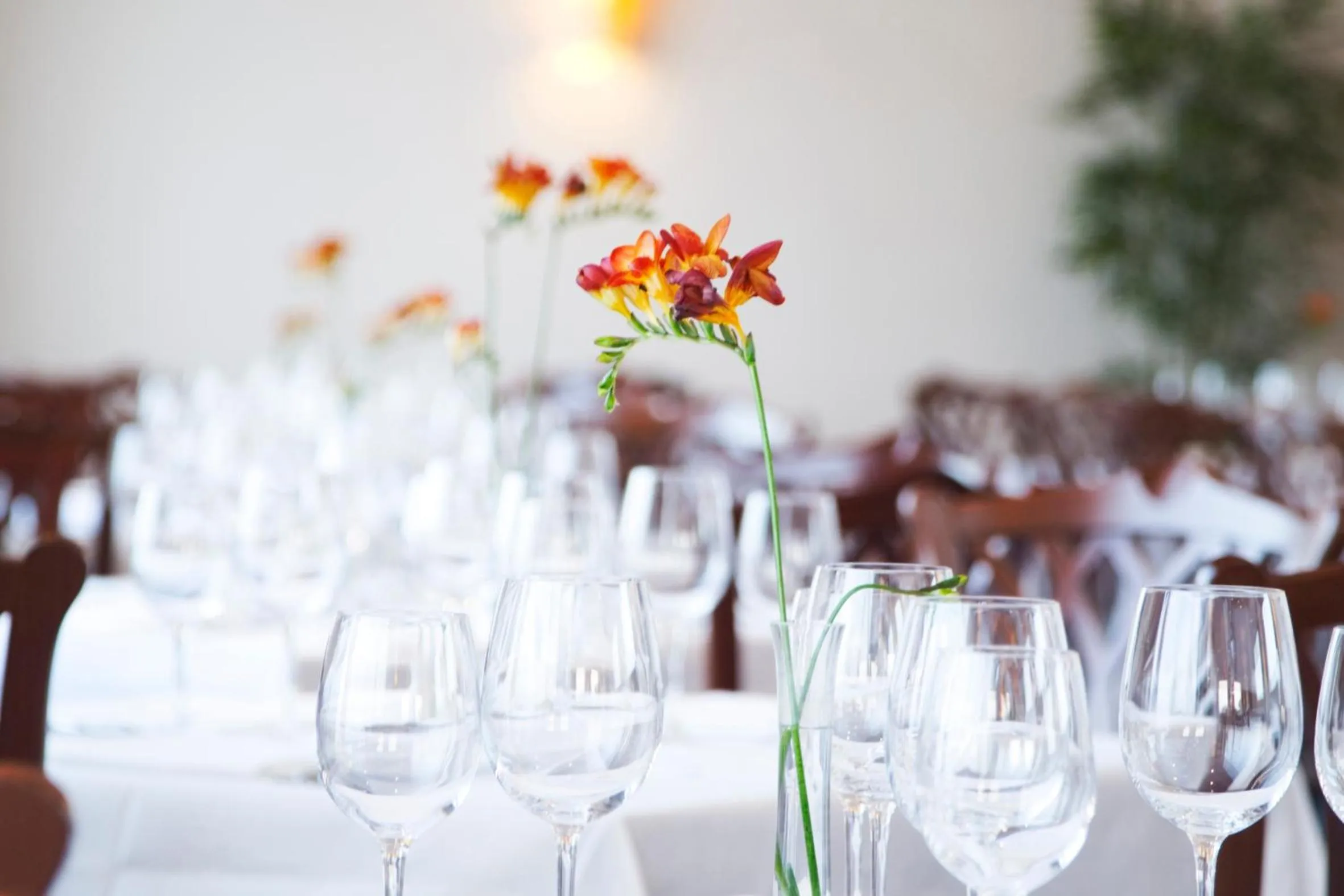 Restaurant/places to eat in Grand Hotel