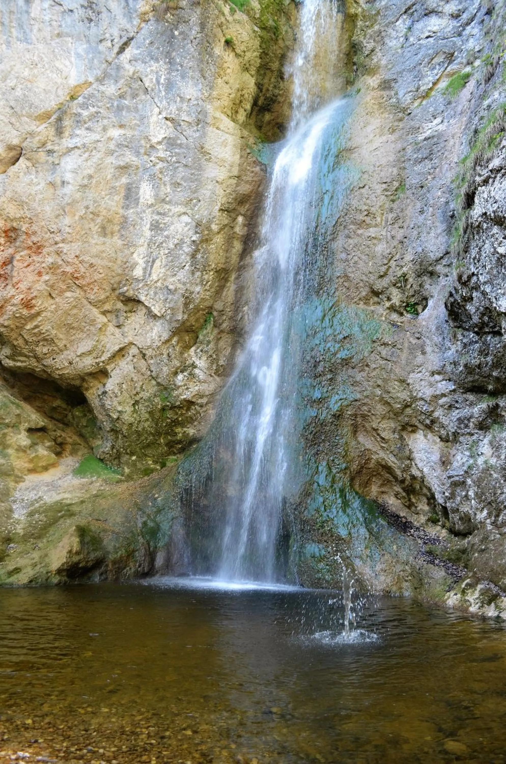 Hiking in Gasthof Alte Tanne