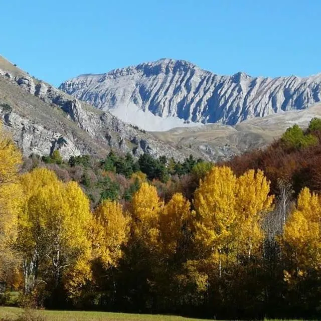 Les Blanches Provençales