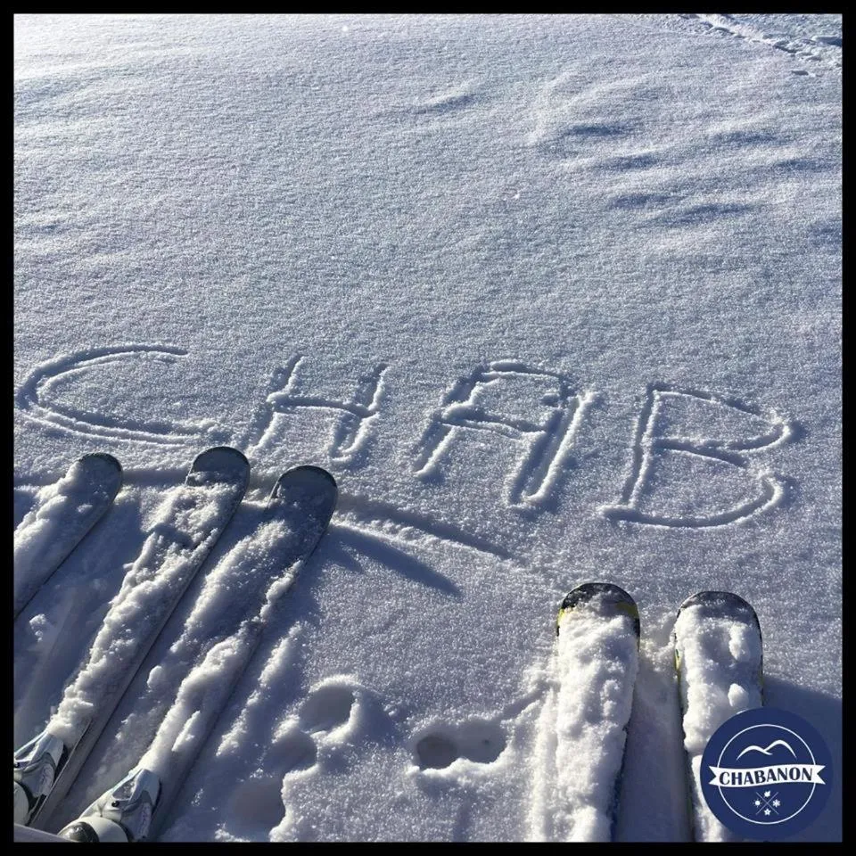 Les Blanches Provençales