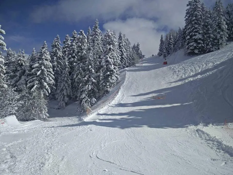 Les Blanches Provençales