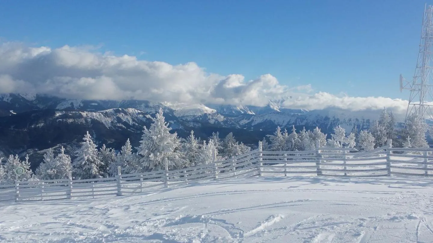 Les Blanches Provençales