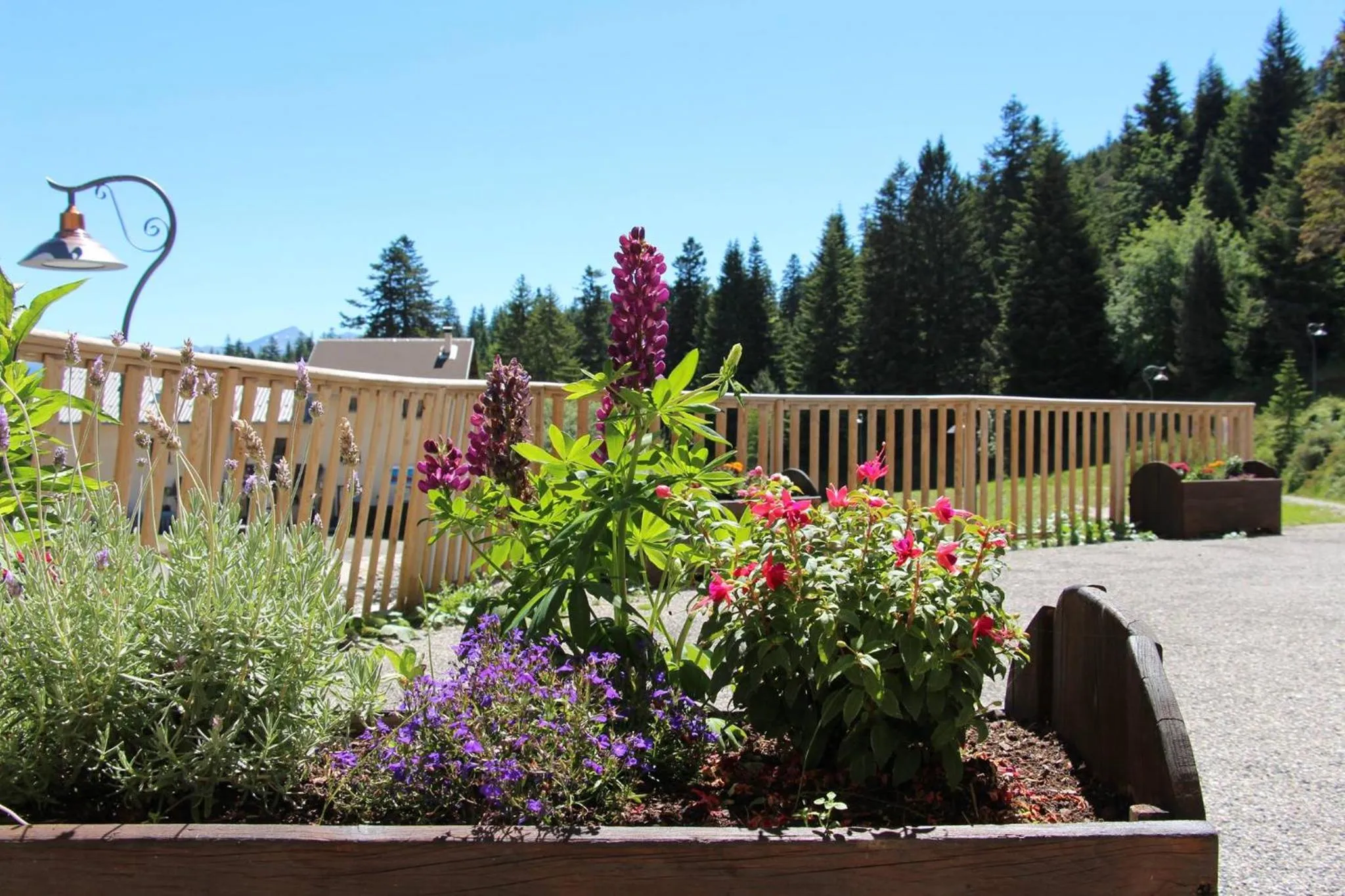 Les Blanches Provençales