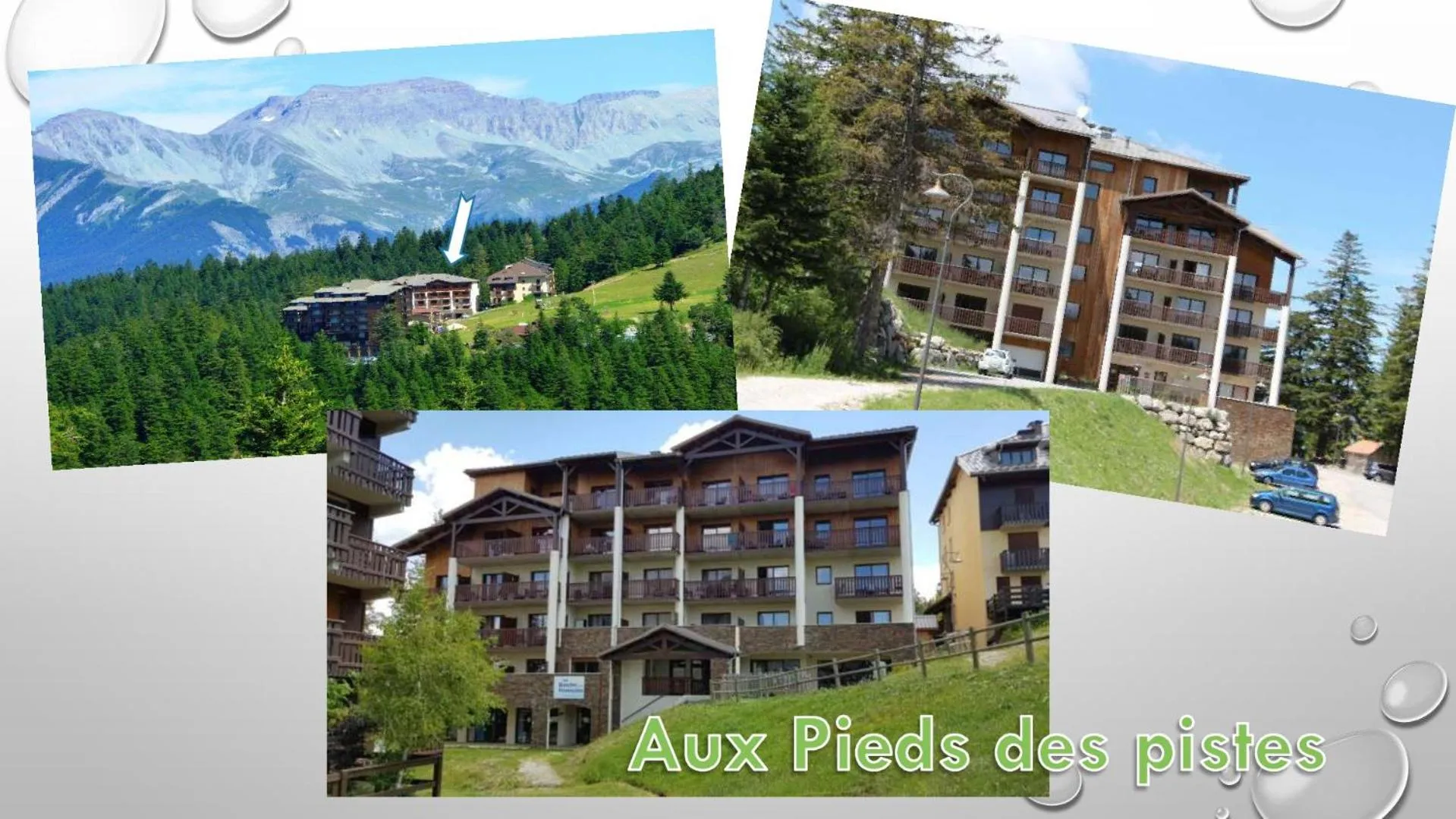 Les Blanches Provençales