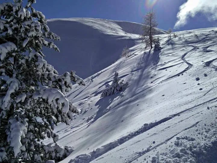 Les Blanches Provençales