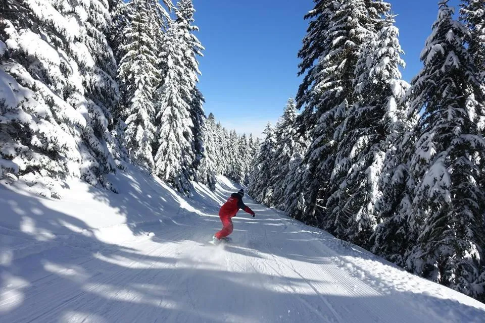 Les Blanches Provençales