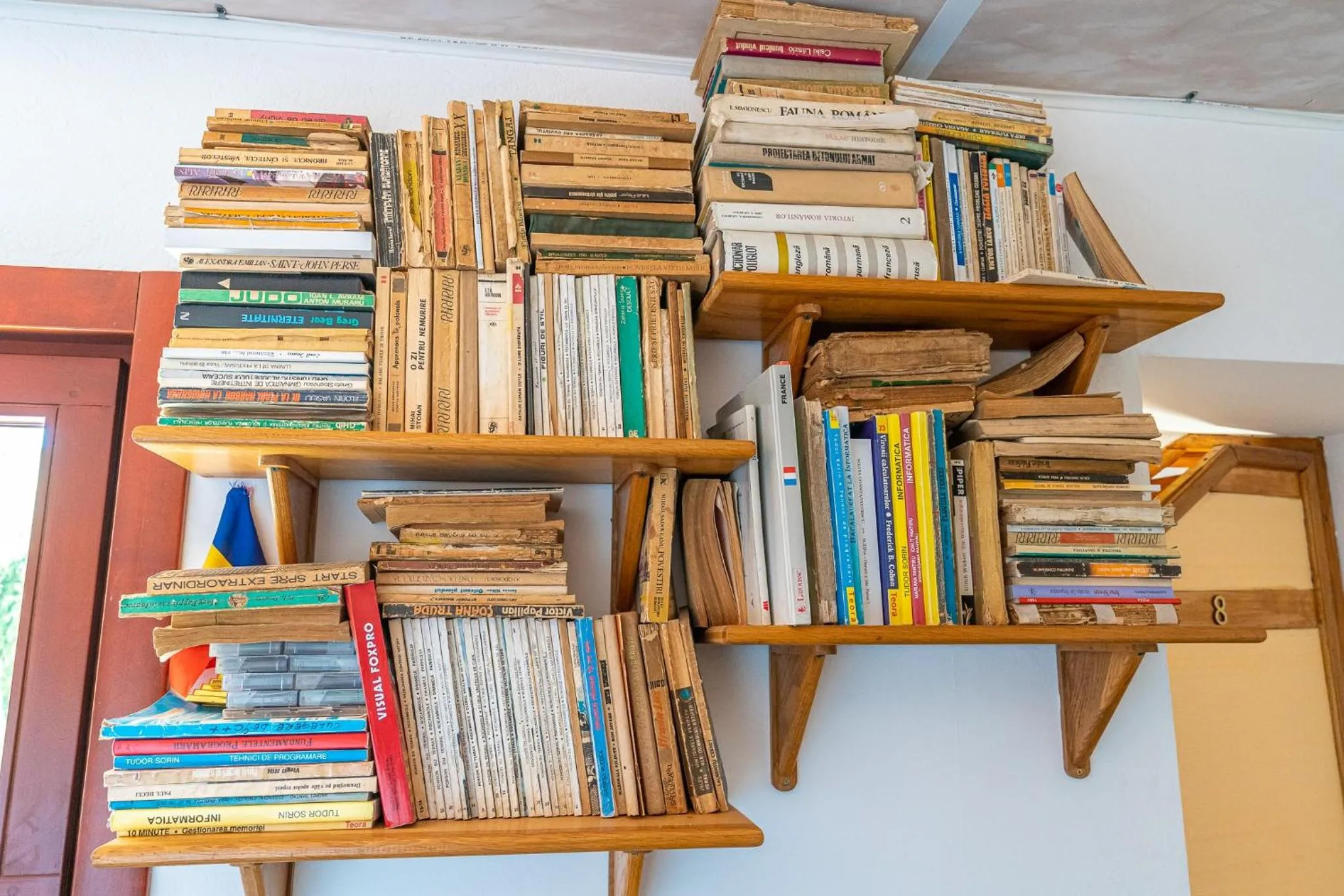 Library in Casa Nikita