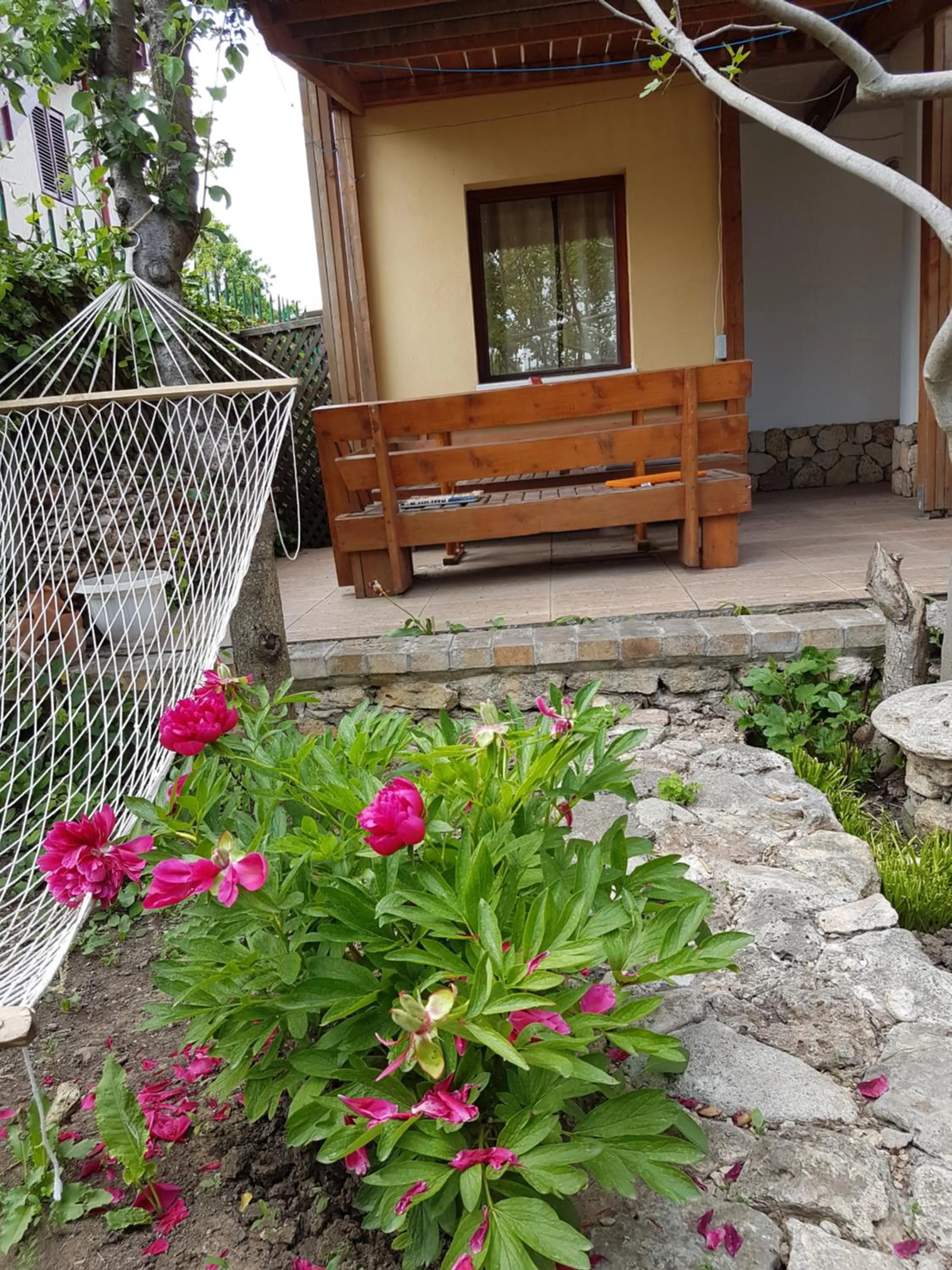 Garden in Casa Nikita