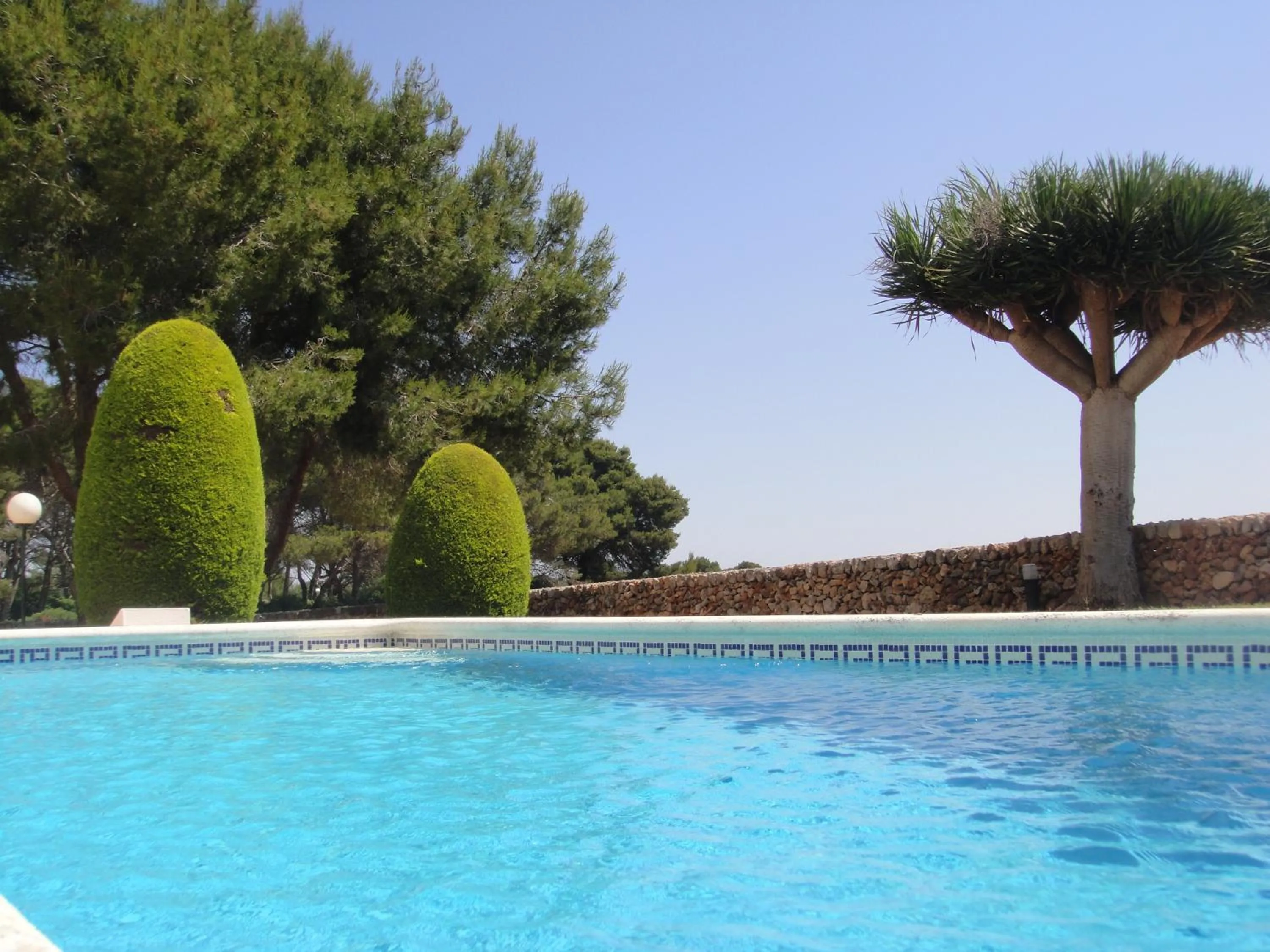 Garden in Apartamentos Piscis