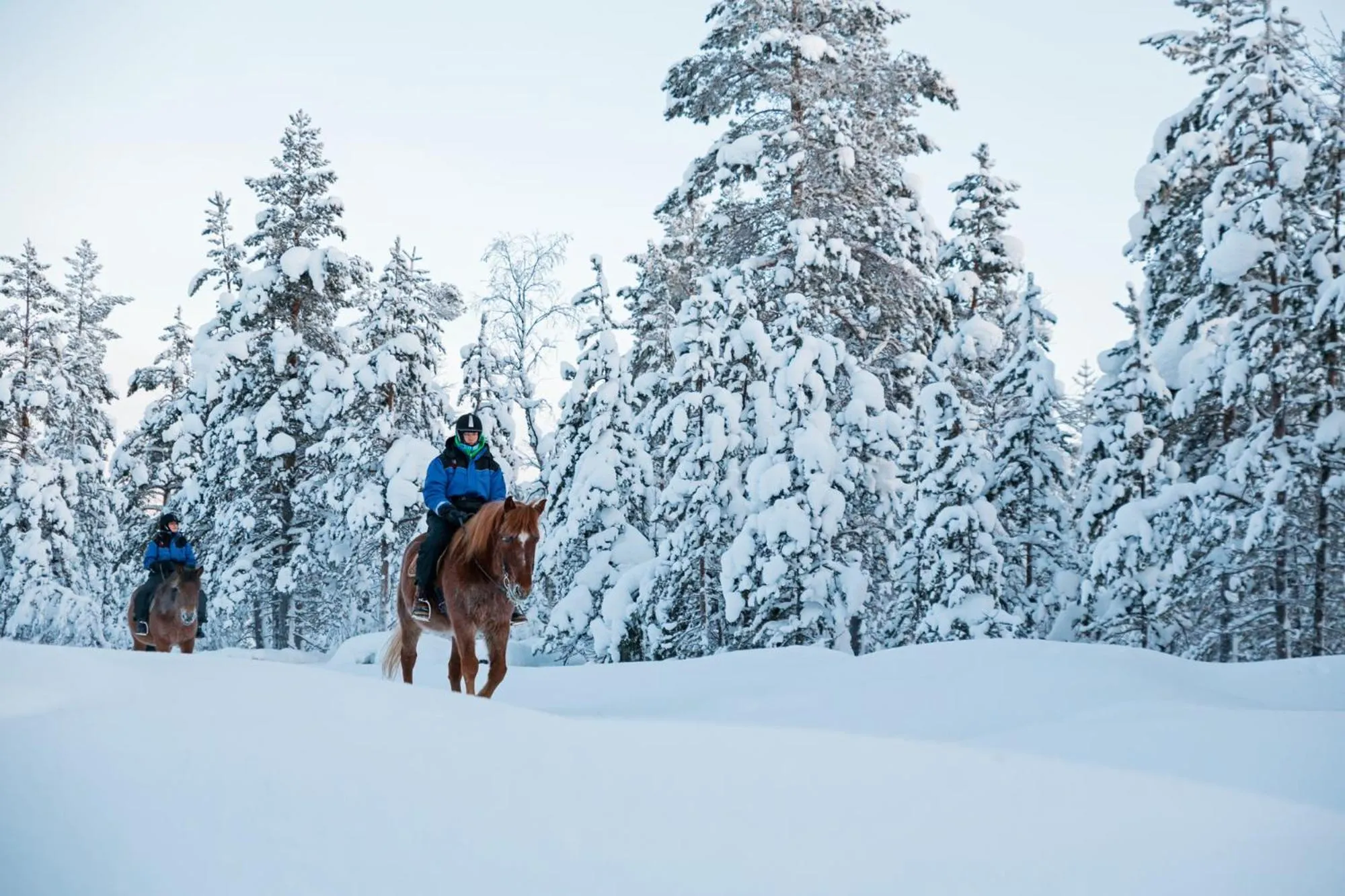 Horse-riding in Kakslauttanen Arctic Resort - Igloos and Chalets